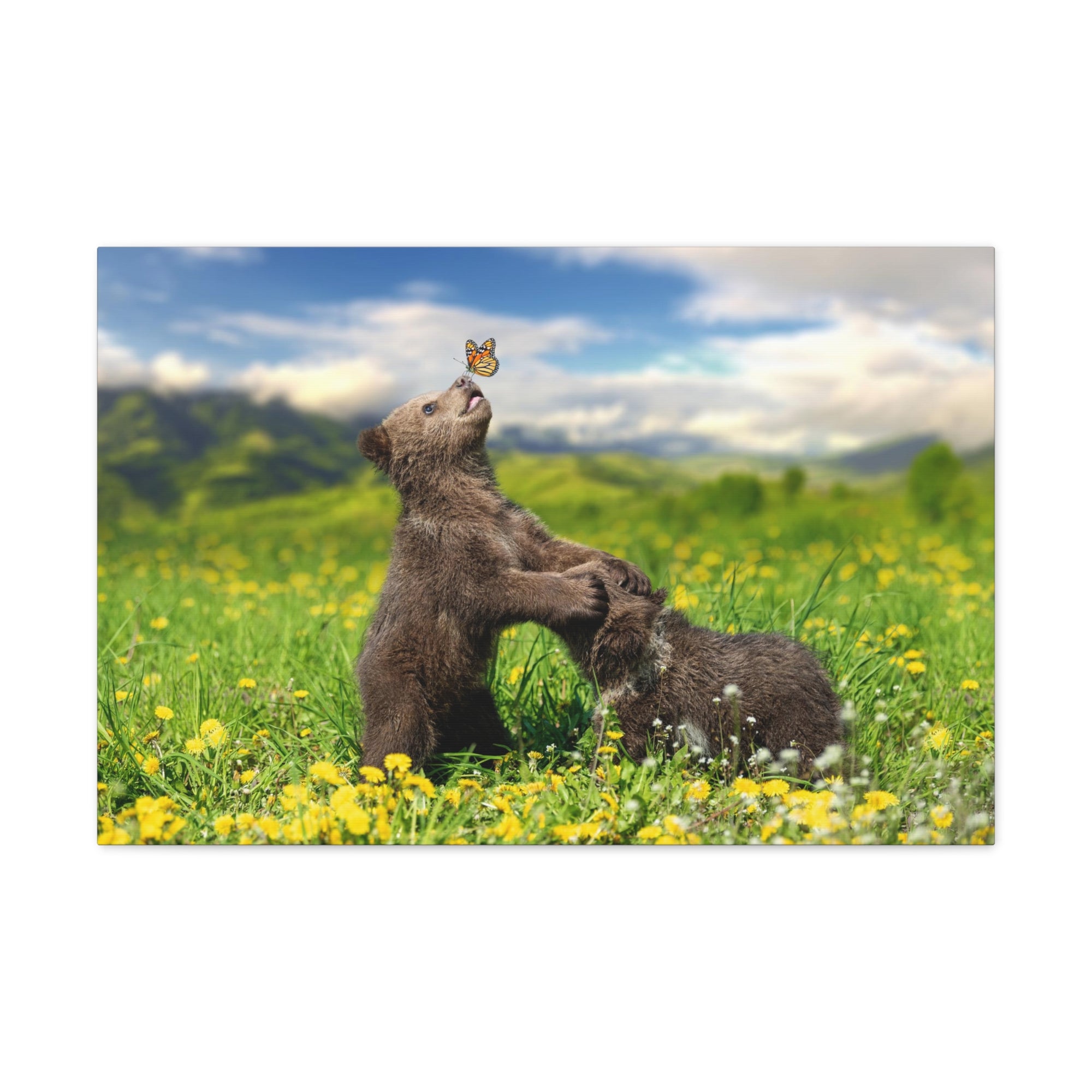 Black Bears in The Spring Nature Wilderness Photography Canvas Wall Art for Home Decor Ready-to-Hang-Express Your Love Gifts