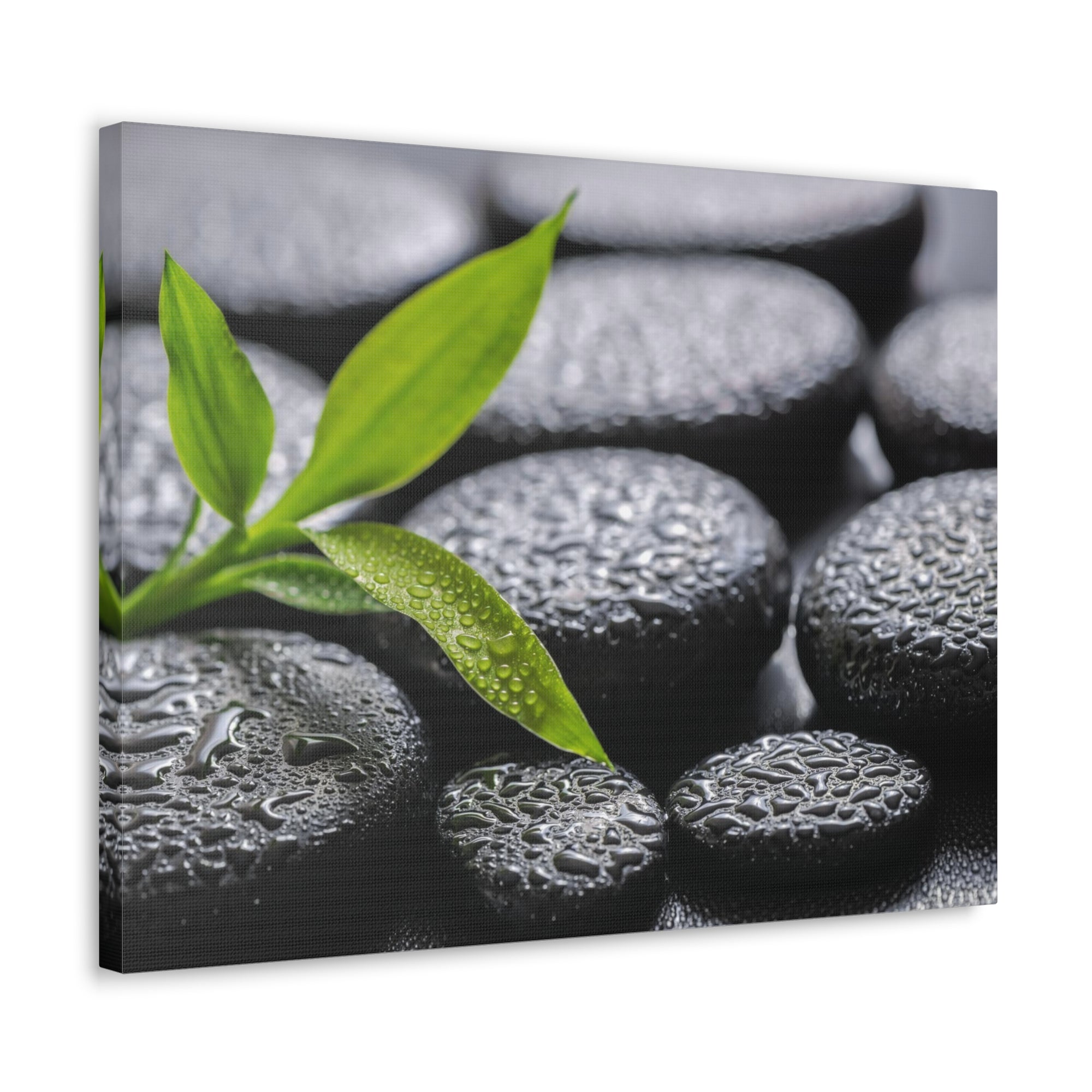 Bamboo on Zen Basalt Forest Floral Nature Photography Canvas Wall Art for Home Decor Ready-to-Hang-Express Your Love Gifts