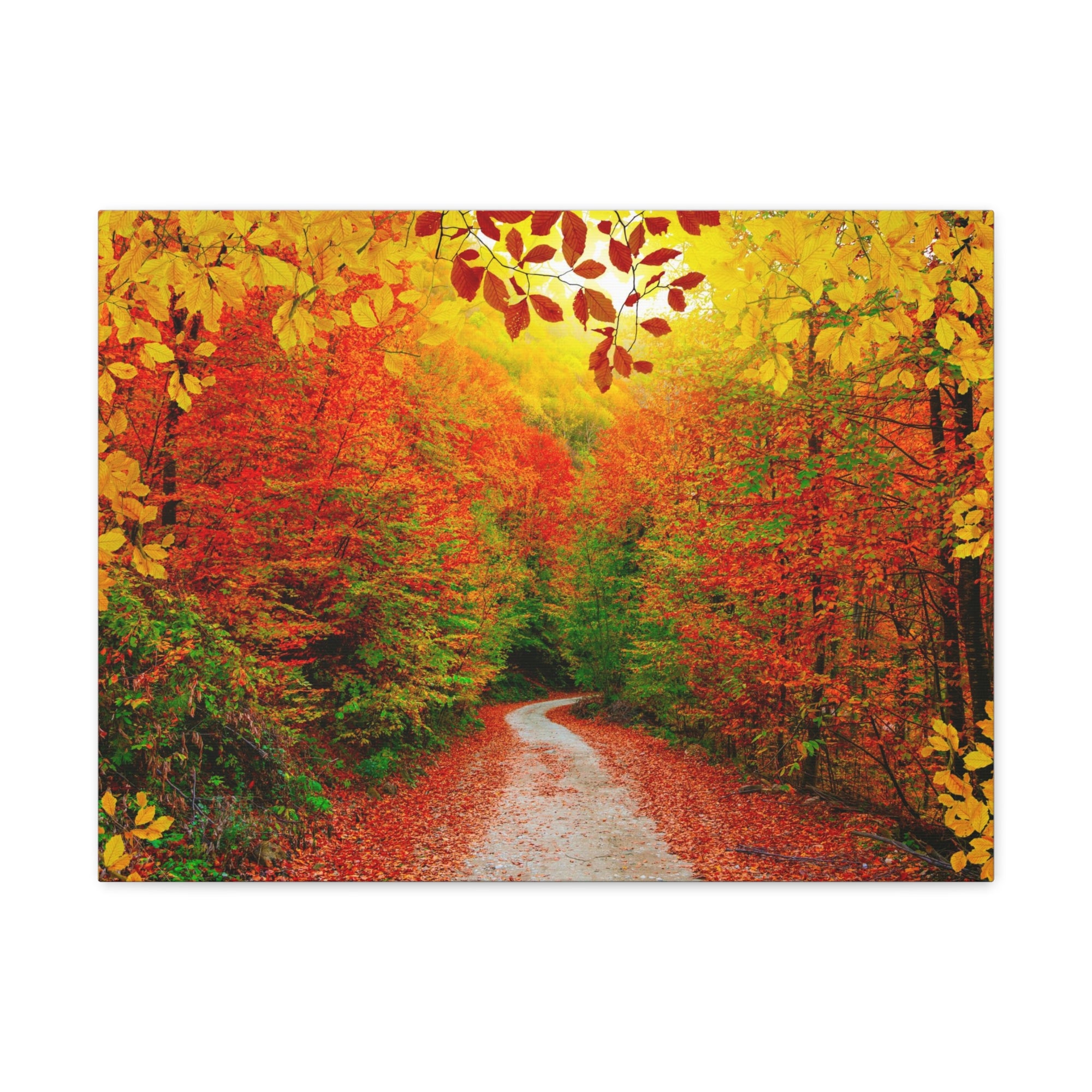 Autumn Fall Orange Leaf Forest Tree Trail Nature Wilderness Photography Canvas Wall Art for Home Decor Ready-to-Hang-Express Your Love Gifts