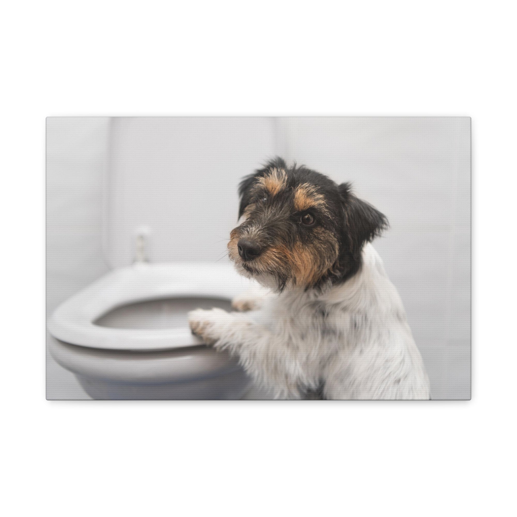 Jack Russell Terrier Standing On Toilet Funny Canvas Wall Art for Home Decor Ready-to-Hand-Express Your Love Gifts