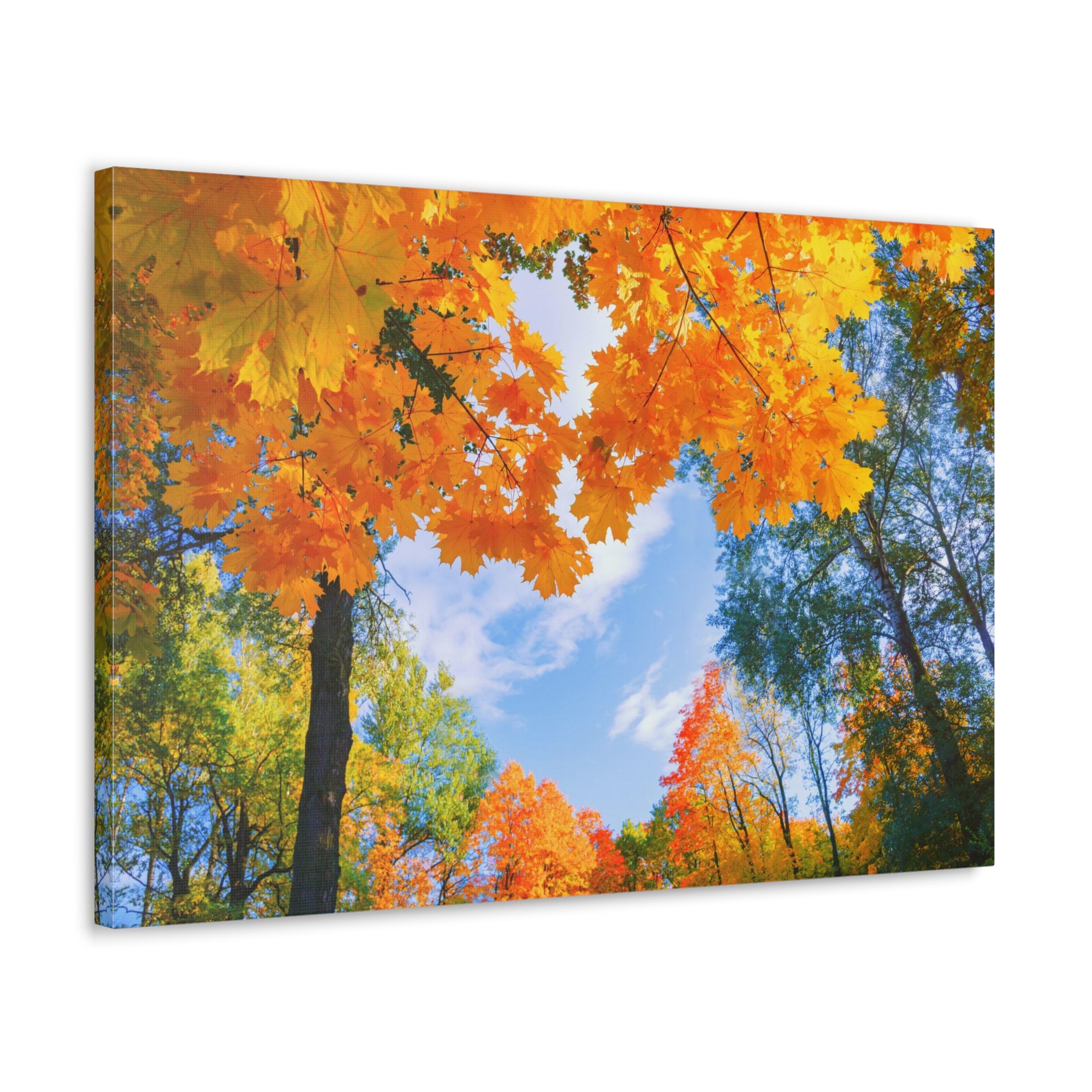 Autumn Tree With Orange Leaves Heart Nature Wilderness Photography Canvas Wall Art for Home Decor Ready-to-Hang-Express Your Love Gifts