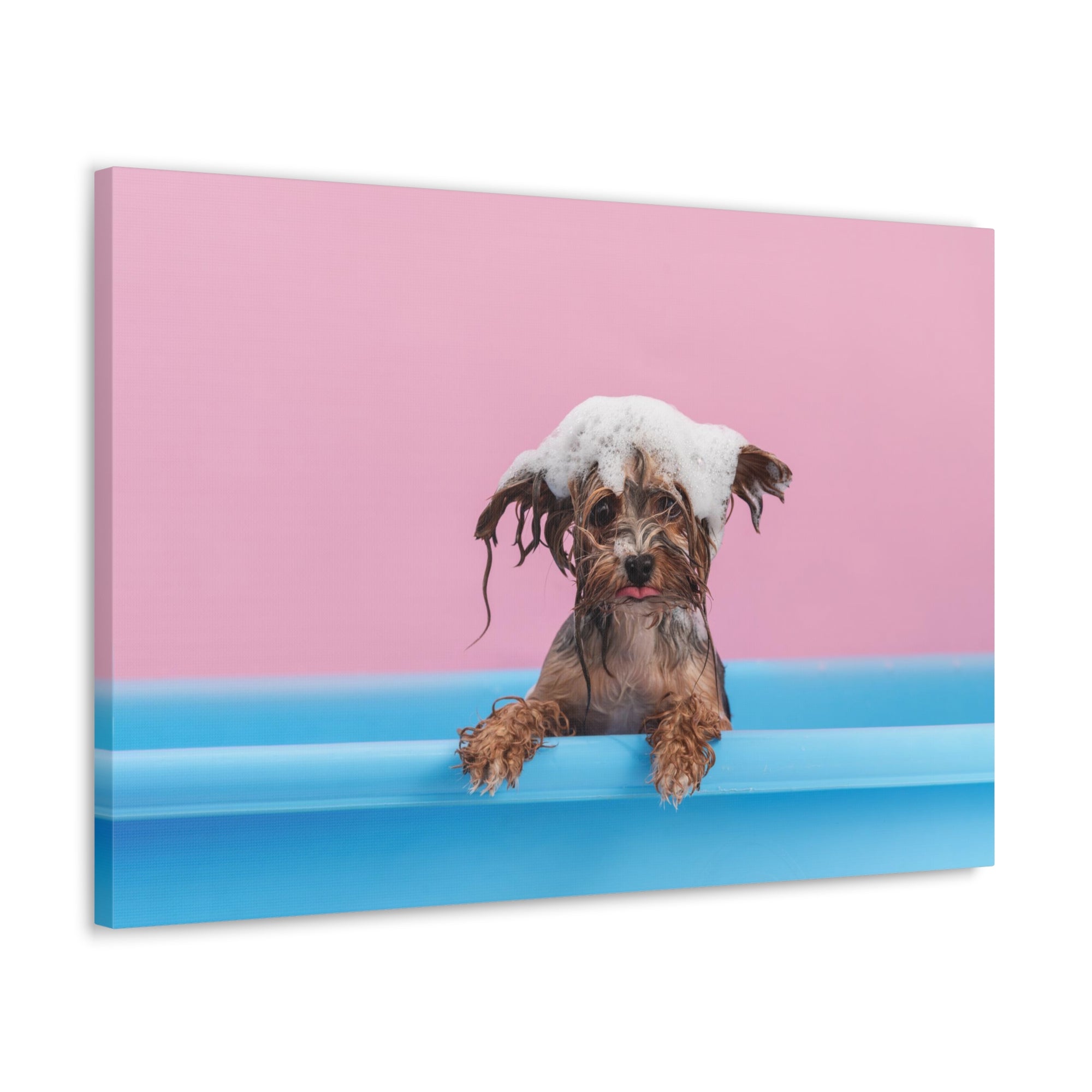 Funny Yorkshire Terrier Bathee Canvas Wall Art for Home Decor Ready-to-Hang-Express Your Love Gifts