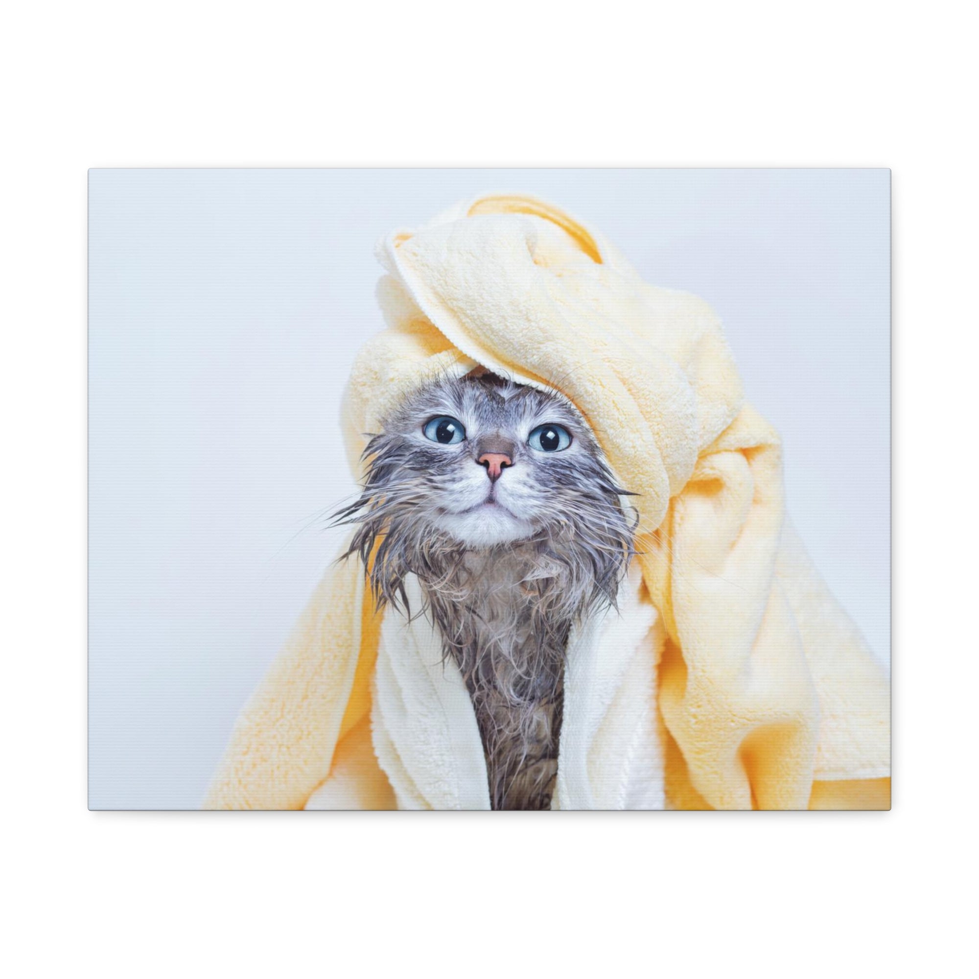 Funny Tabby Cat Bathee Canvas Wall Art for Home Decor Ready-to-Hang-Express Your Love Gifts