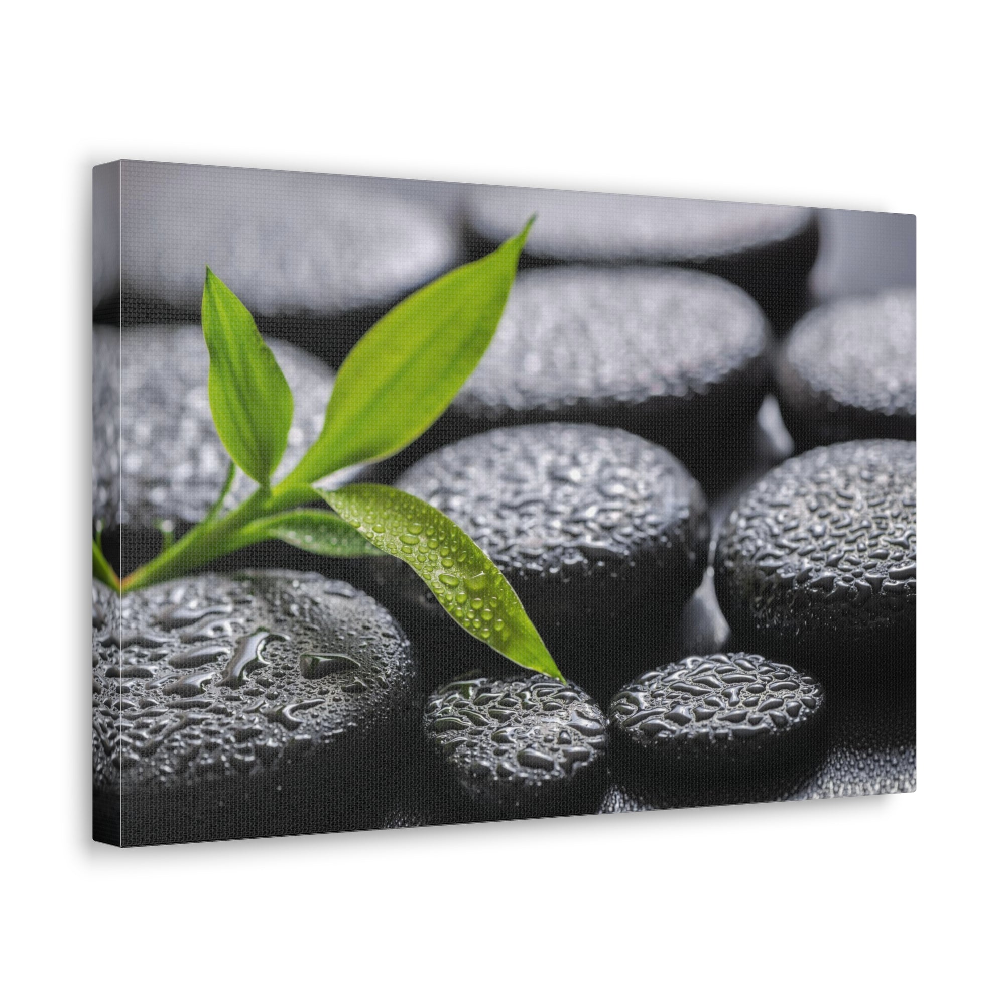 Bamboo on Zen Basalt Forest Floral Nature Photography Canvas Wall Art for Home Decor Ready-to-Hang-Express Your Love Gifts