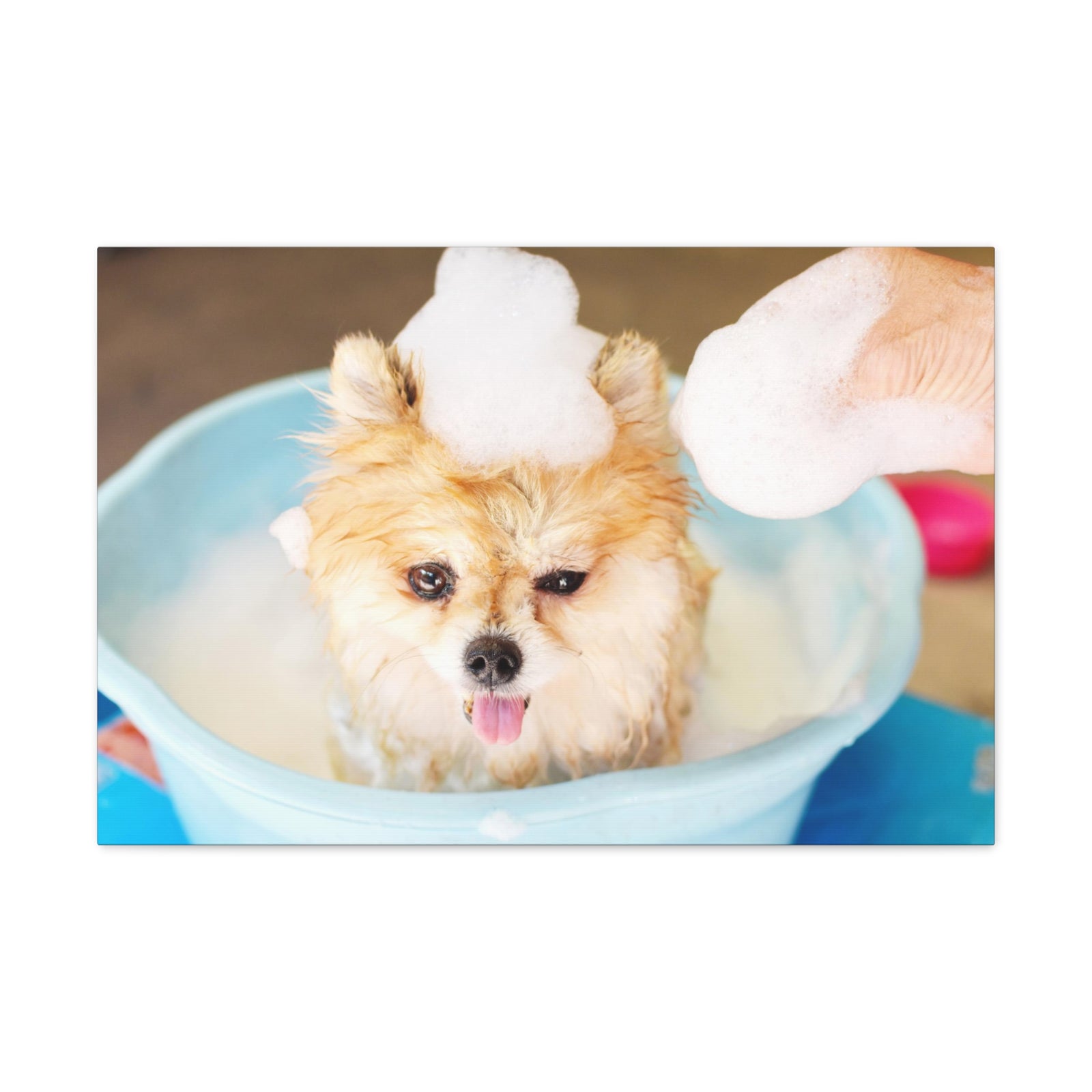 Funny Pomeranian Bathee Canvas Wall Art for Home Decor Ready-to-Hang-Express Your Love Gifts