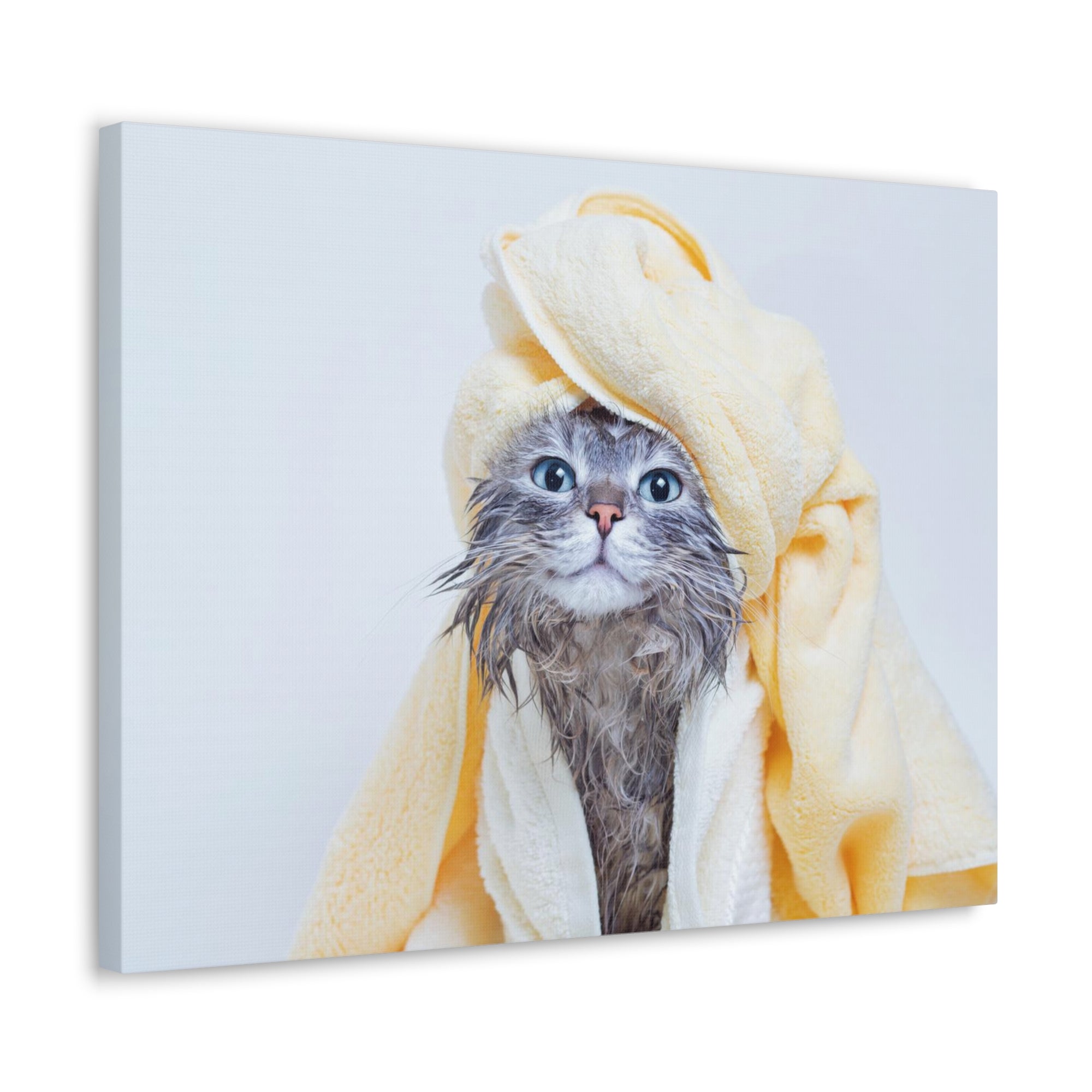 Funny Tabby Cat Bathee Canvas Wall Art for Home Decor Ready-to-Hang-Express Your Love Gifts