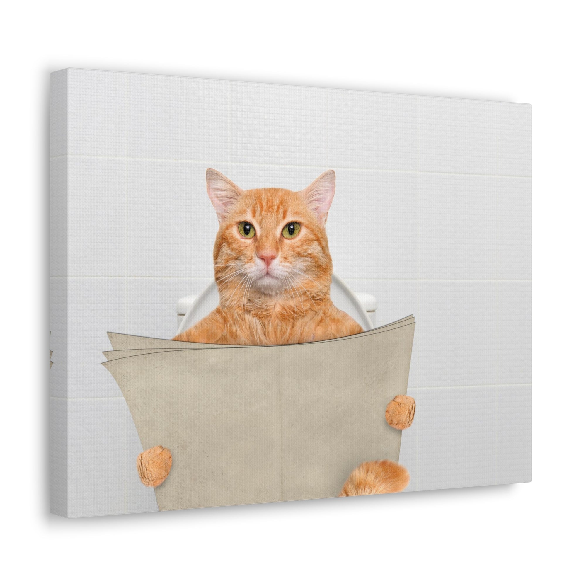 Funny Cat Reading Newspaper On Toilet Funny Canvas Wall Art for Home Decor Ready-to-Hand-Express Your Love Gifts