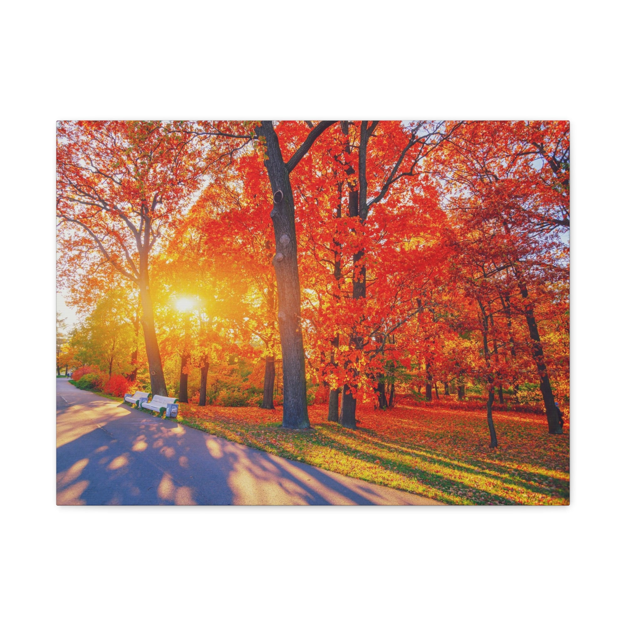 Autumn Path Orange Tree Trail Nature Wilderness Photography Canvas Wall Art for Home Decor Ready-to-Hang-Express Your Love Gifts