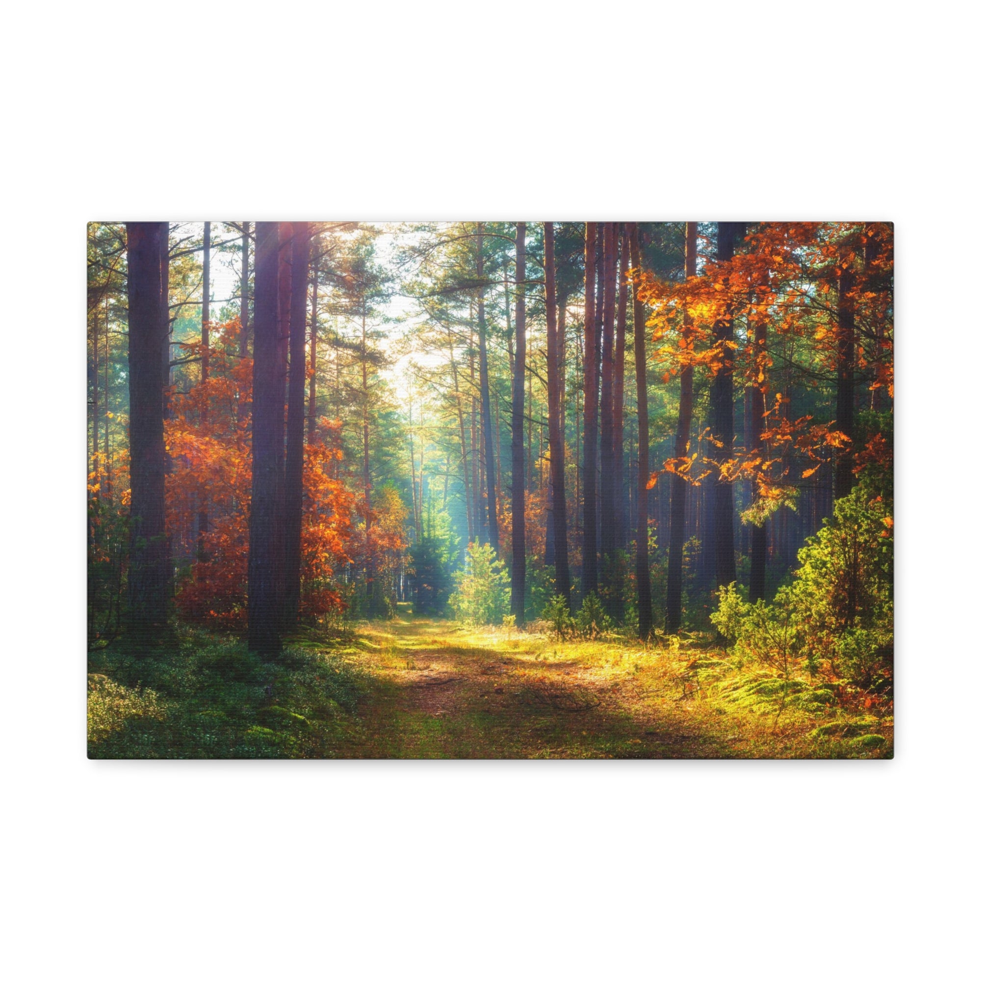 Autumn Fall Leaf Forest Nature Wilderness Photography Canvas Wall Art for Home Decor Ready-to-Hang-Express Your Love Gifts