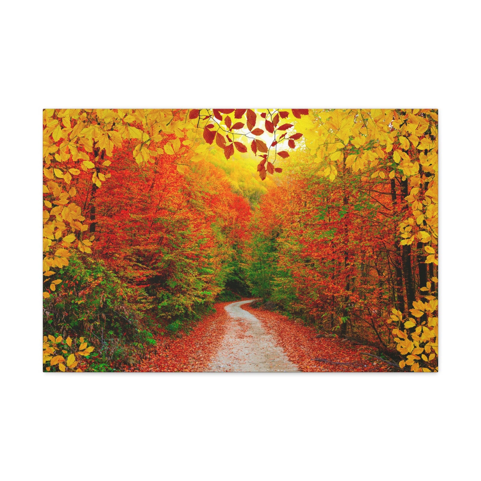 Autumn Fall Orange Leaf Forest Tree Trail Nature Wilderness Photography Canvas Wall Art for Home Decor Ready-to-Hang-Express Your Love Gifts