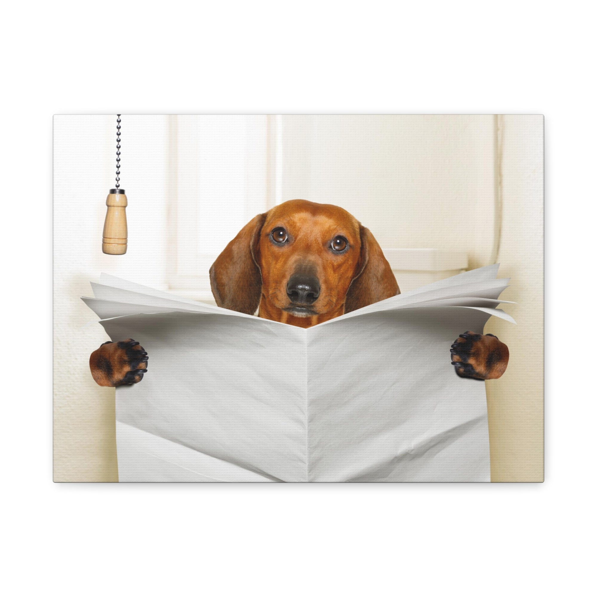 Funny Sausage Dachshund Reading Blank Paper On Toilet Funny Canvas Wall Art for Home Decor Ready-to-Hand-Express Your Love Gifts