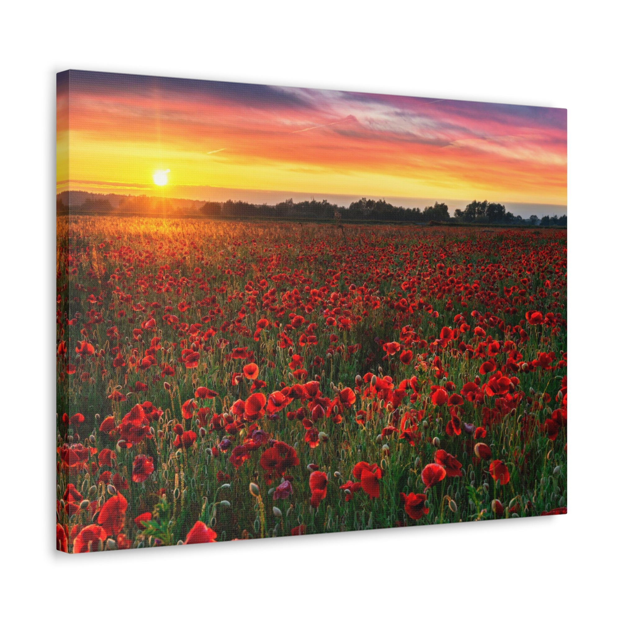 Beautiful Poppy Field During Sunrise Flower Canvas Wall Art for Home Decor Ready-to-Hang-Express Your Love Gifts