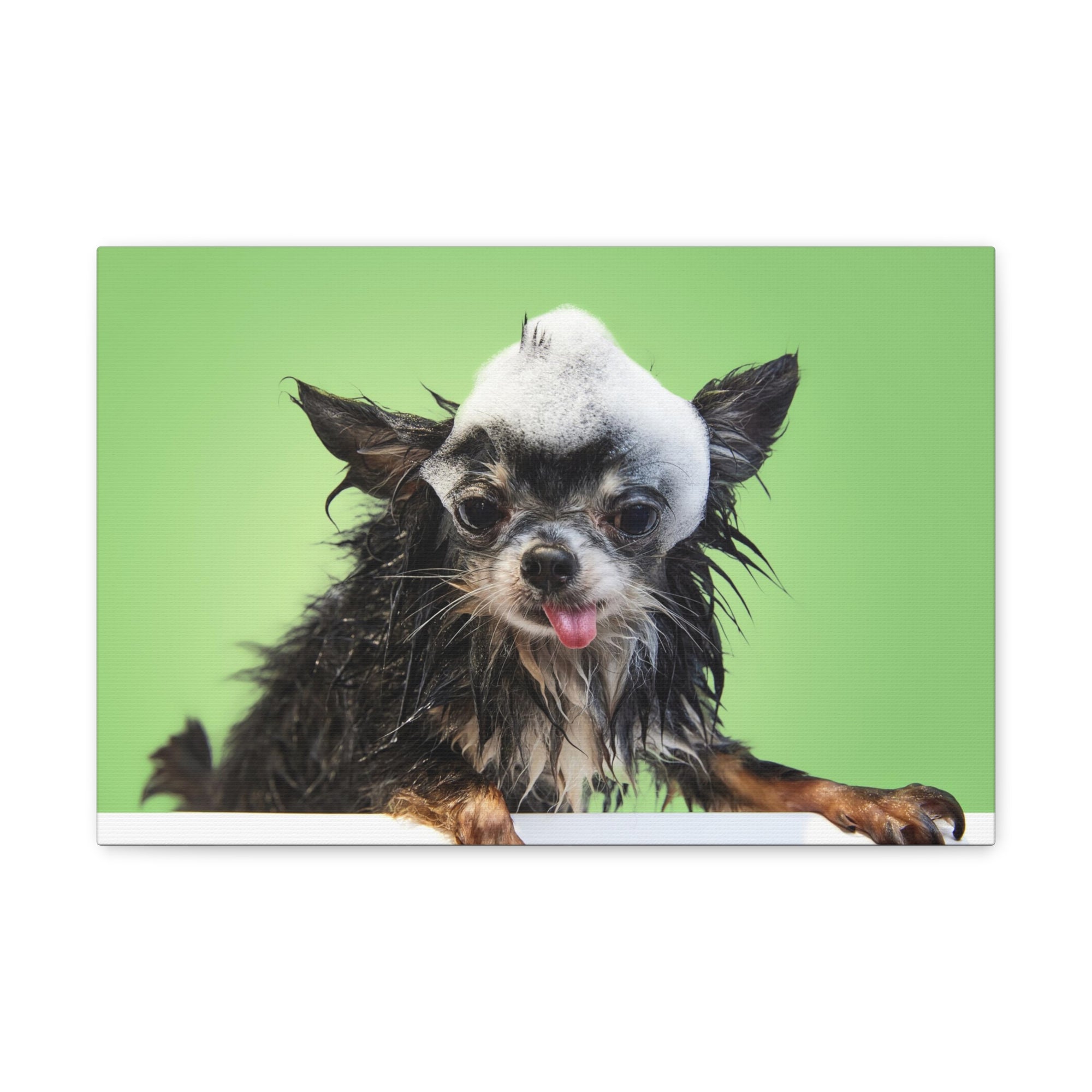 Funny Chihuahua Bath Canvas Wall Art for Home Decor Ready-to-Hang-Express Your Love Gifts