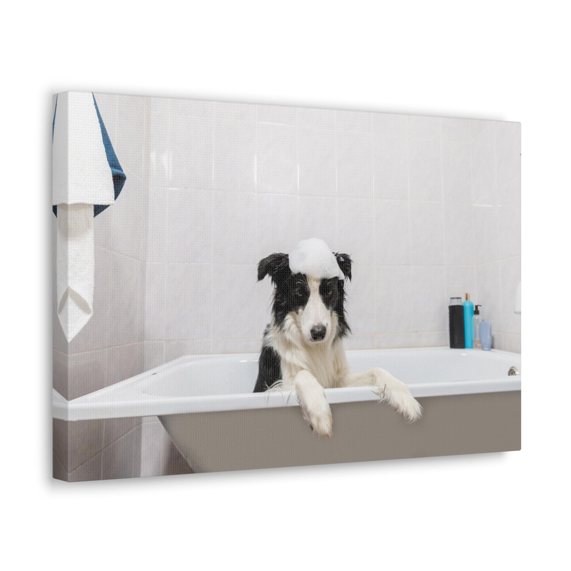 Funny Border Collie Bathee Canvas Wall Art for Home Decor Ready-to-Hang-Express Your Love Gifts