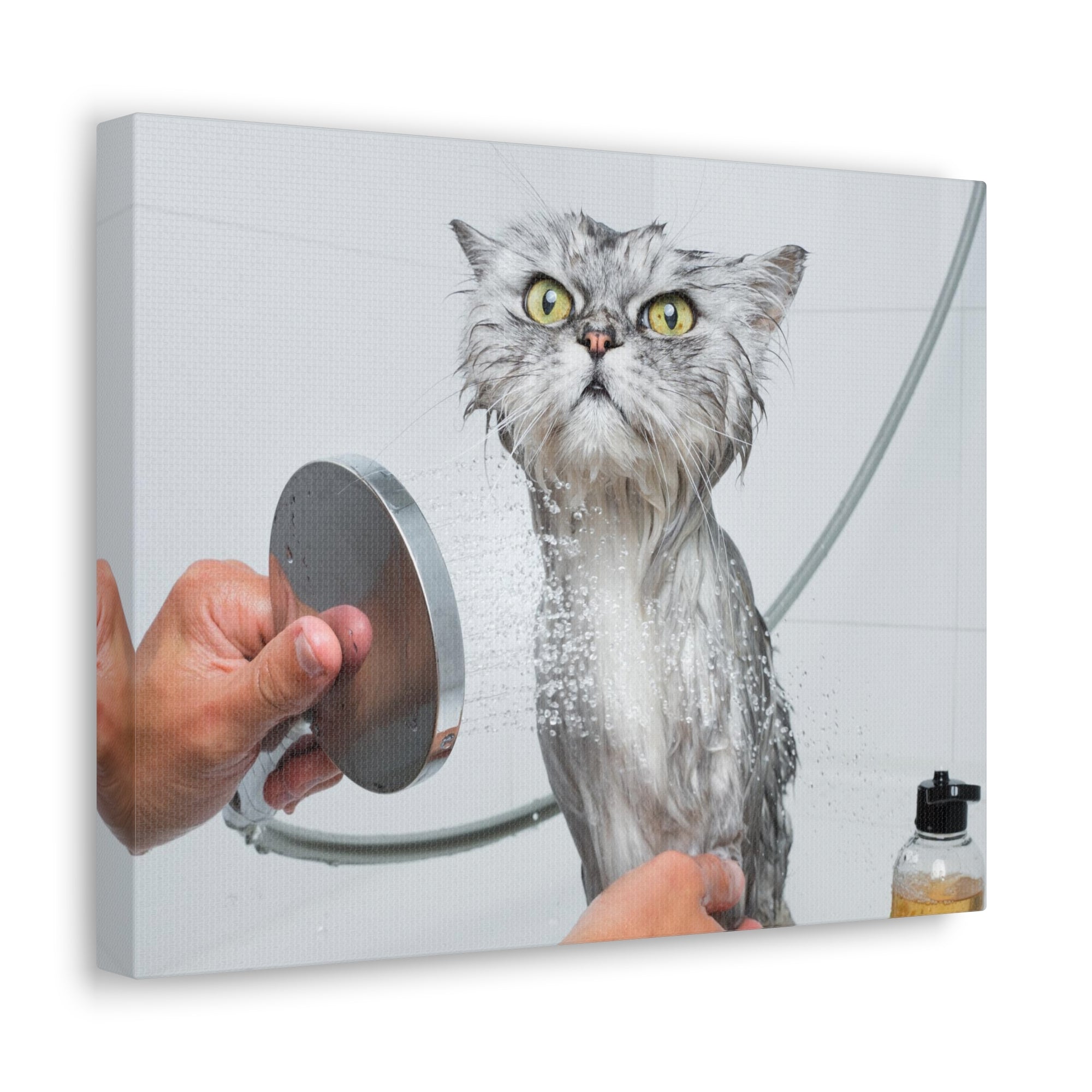 Funny Wet Cat Bath Canvas Wall Art for Home Decor Ready-to-Hang-Express Your Love Gifts