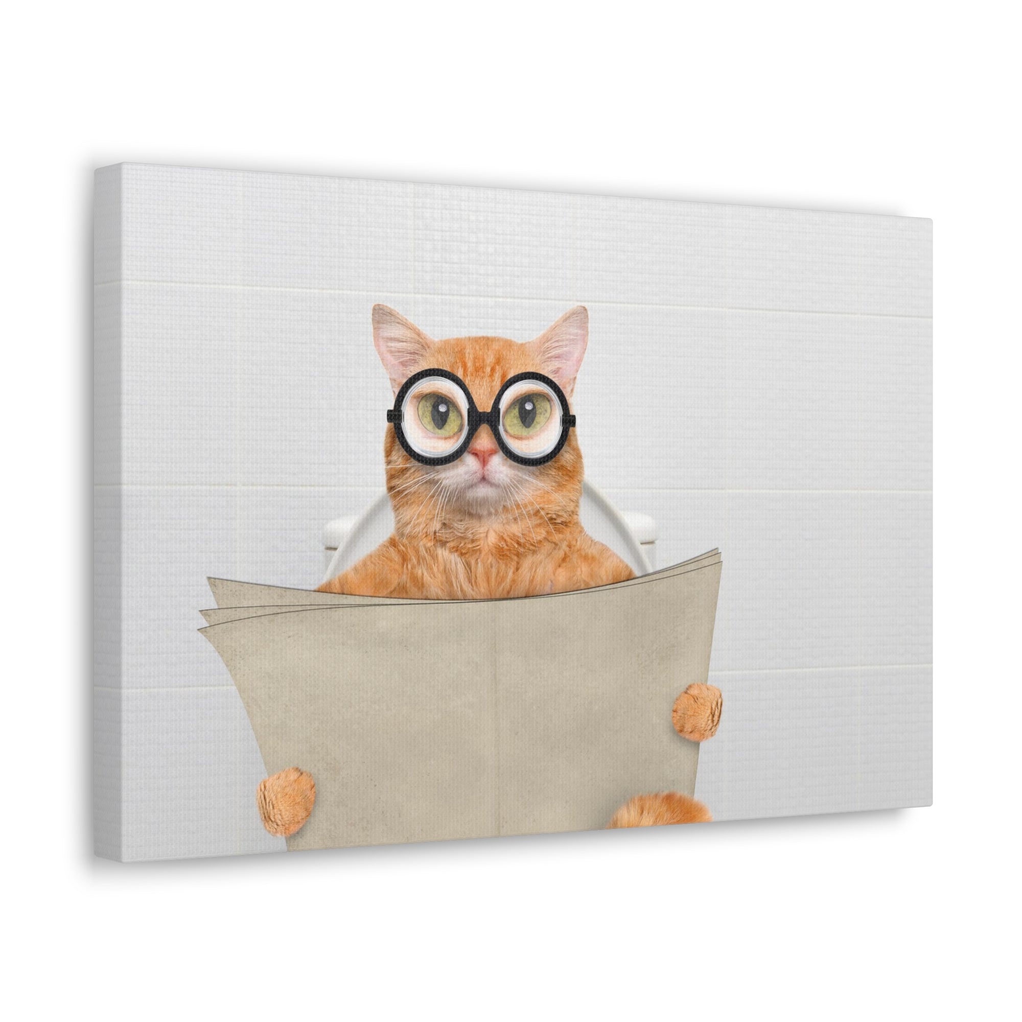 Cat Wearing Glasses Reading Newspaper On Toilet Funny Canvas Wall Art for Home Decor Ready-to-Hand-Express Your Love Gifts