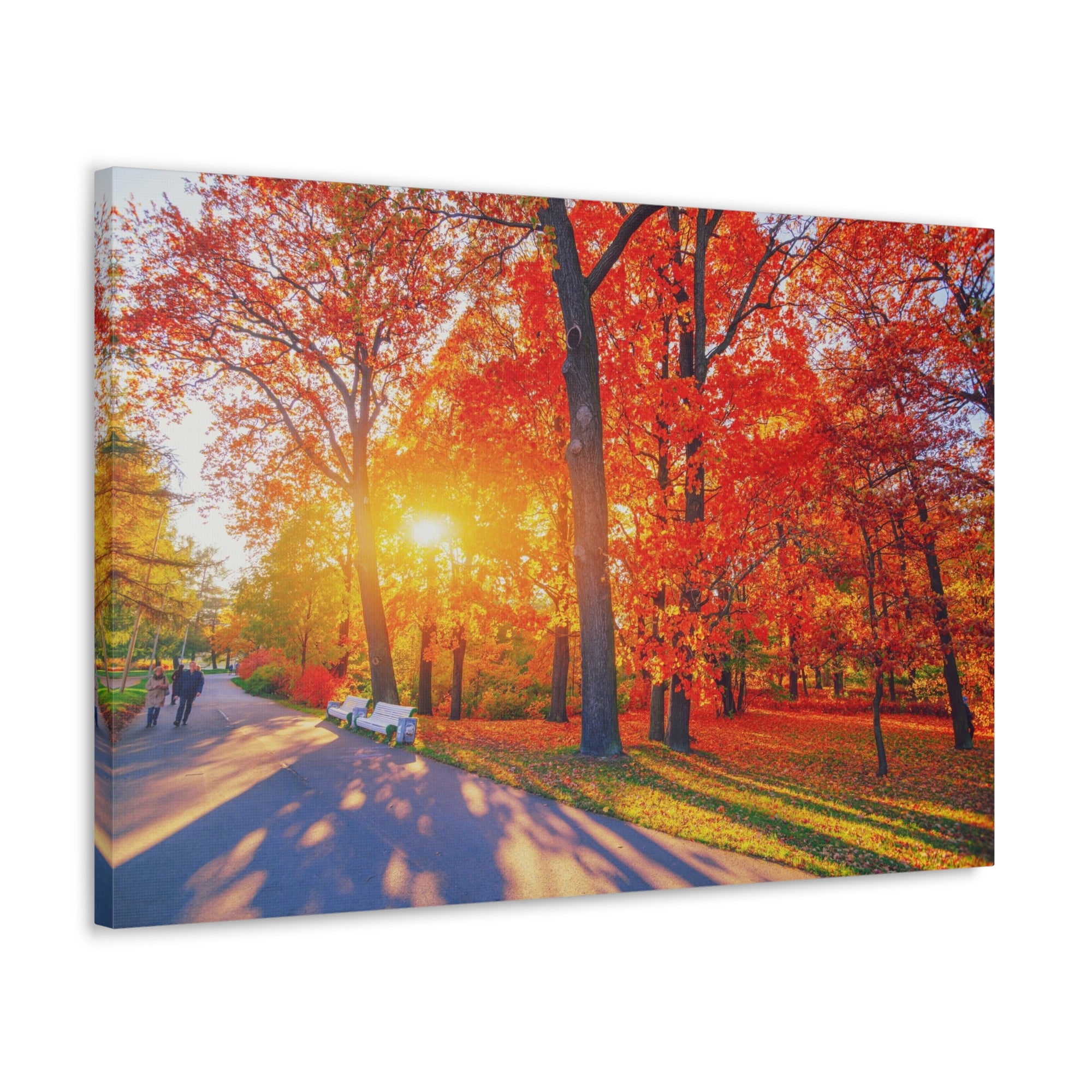 Autumn Path Orange Tree Trail Nature Wilderness Photography Canvas Wall Art for Home Decor Ready-to-Hang-Express Your Love Gifts