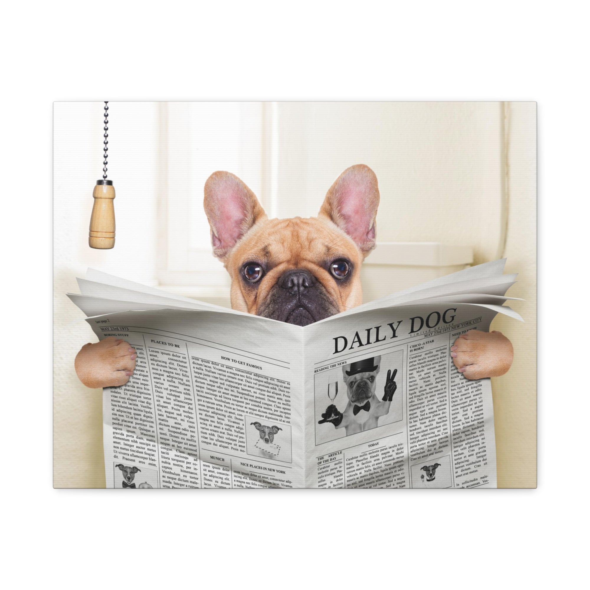 Fawn French Bulldog Reading Newspaper On Toilet Funny Canvas Wall Art for Home Decor Ready-to-Hand-Express Your Love Gifts
