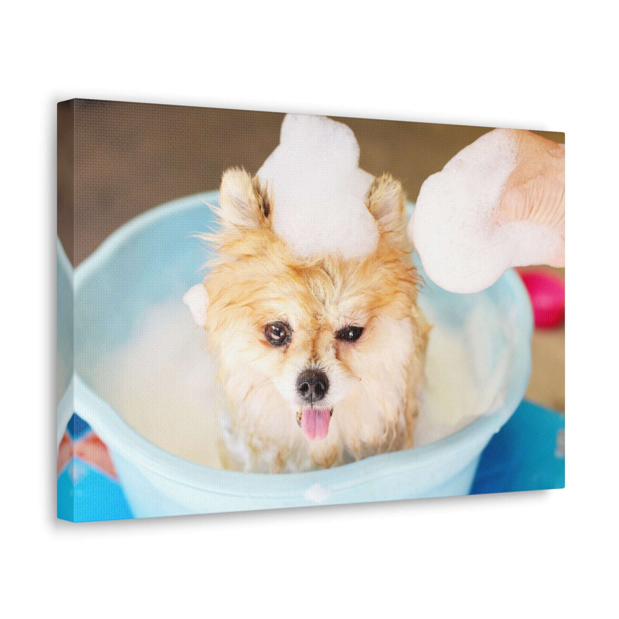 Funny Pomeranian Bathee Canvas Wall Art for Home Decor Ready-to-Hang-Express Your Love Gifts