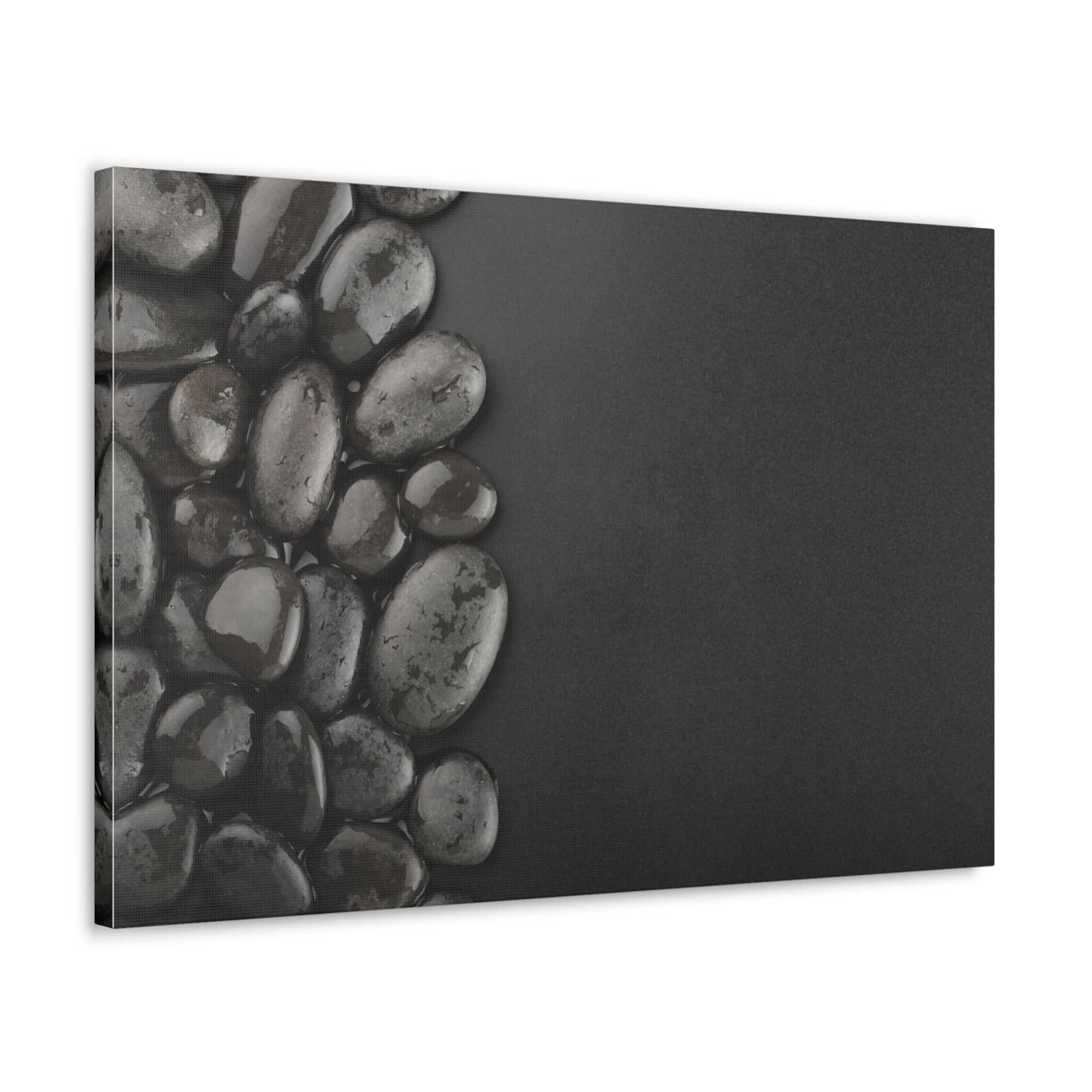 Black Background with Rocks Forest Floral Nature Photography Canvas Wall Art for Home Decor Ready-to-Hang-Express Your Love Gifts