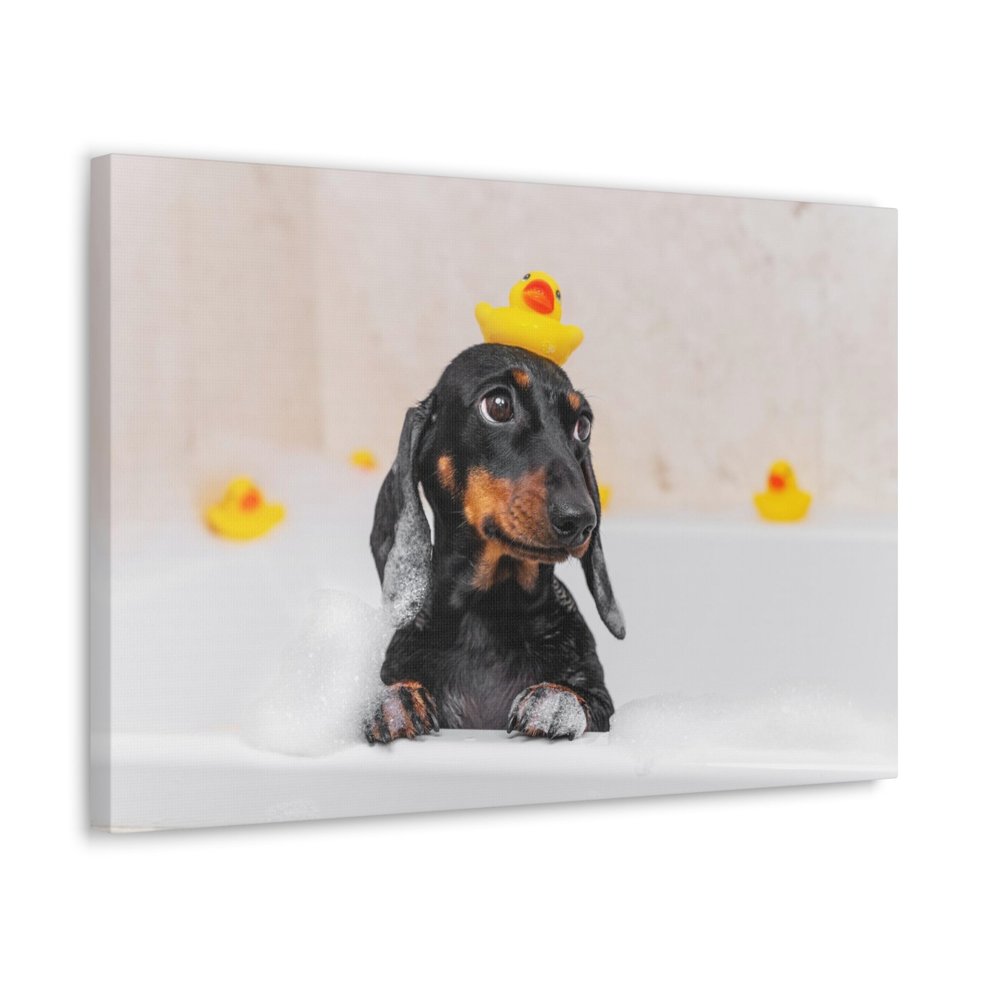 Dachshund In Bathtub With Yellow Duck On Toilet Funny Canvas Wall Art for Home Decor Ready-to-Hand-Express Your Love Gifts