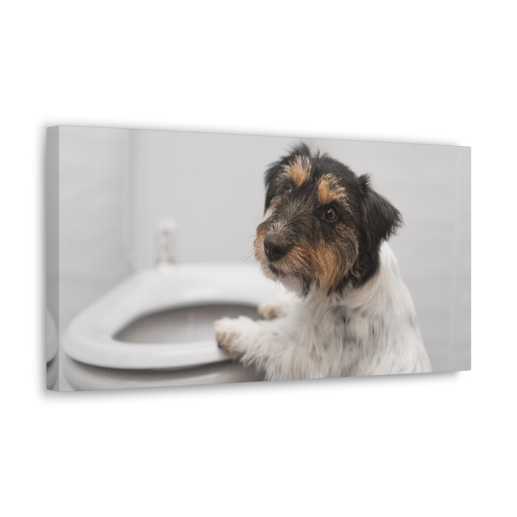 Jack Russell Terrier Standing On Toilet Funny Canvas Wall Art for Home Decor Ready-to-Hand-Express Your Love Gifts