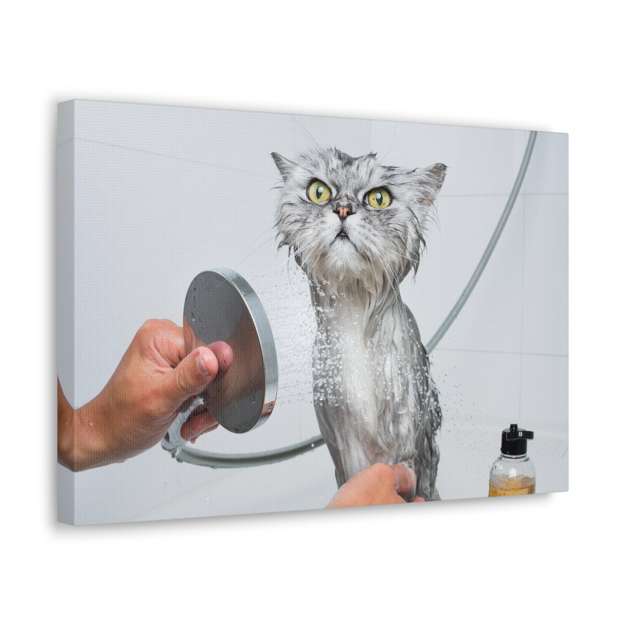 Funny Wet Cat Bath Canvas Wall Art for Home Decor Ready-to-Hang-Express Your Love Gifts