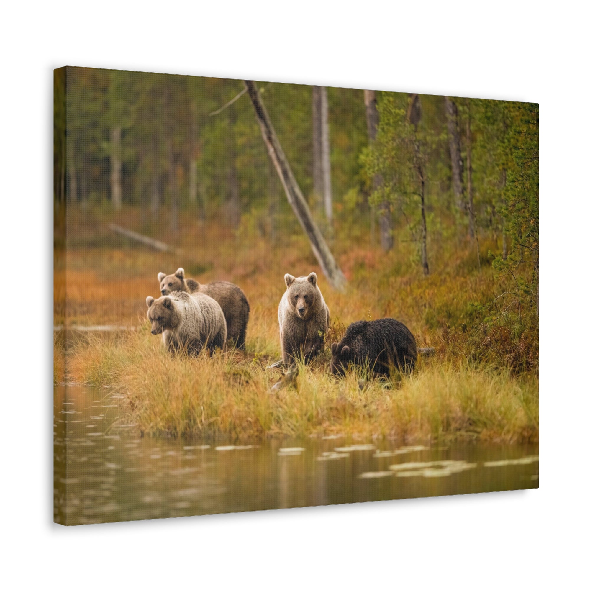 Bears In Spring Forest Nature Wilderness Photography Canvas Wall Art for Home Decor Ready-to-Hang-Express Your Love Gifts