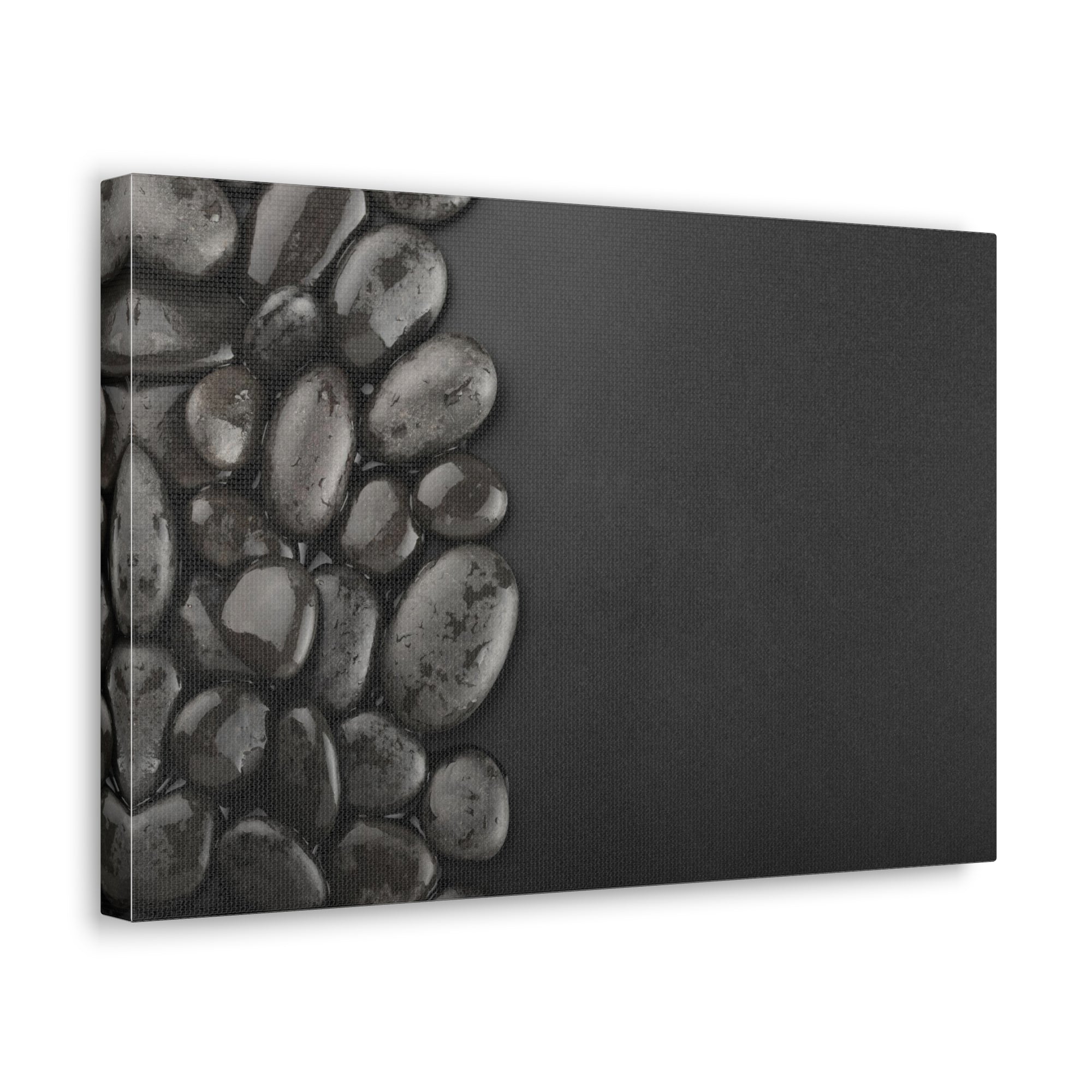 Black Background with Rocks Forest Floral Nature Photography Canvas Wall Art for Home Decor Ready-to-Hang-Express Your Love Gifts