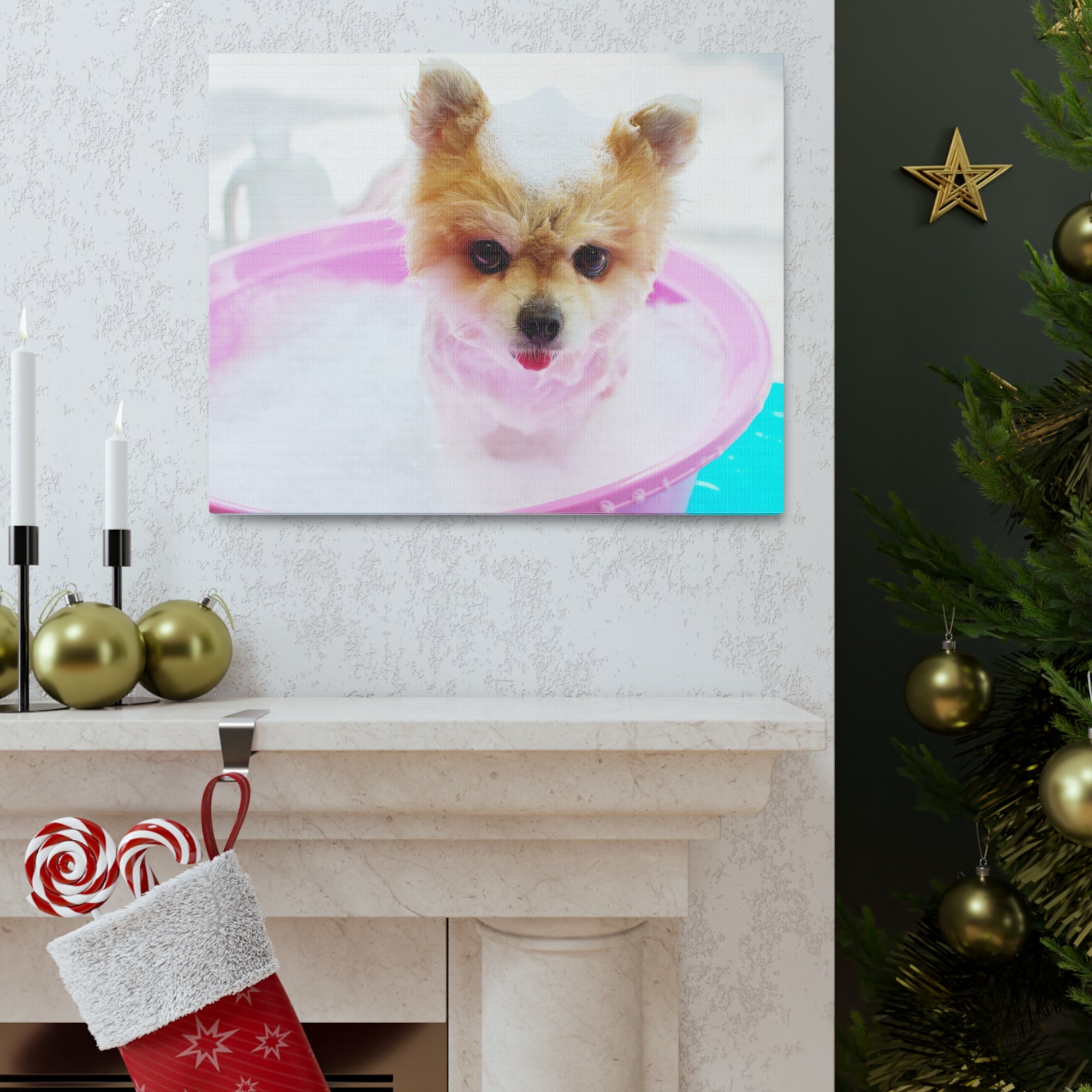 Funny Pomeranian Bath Canvas Wall Art for Home Decor Ready-to-Hang-Express Your Love Gifts