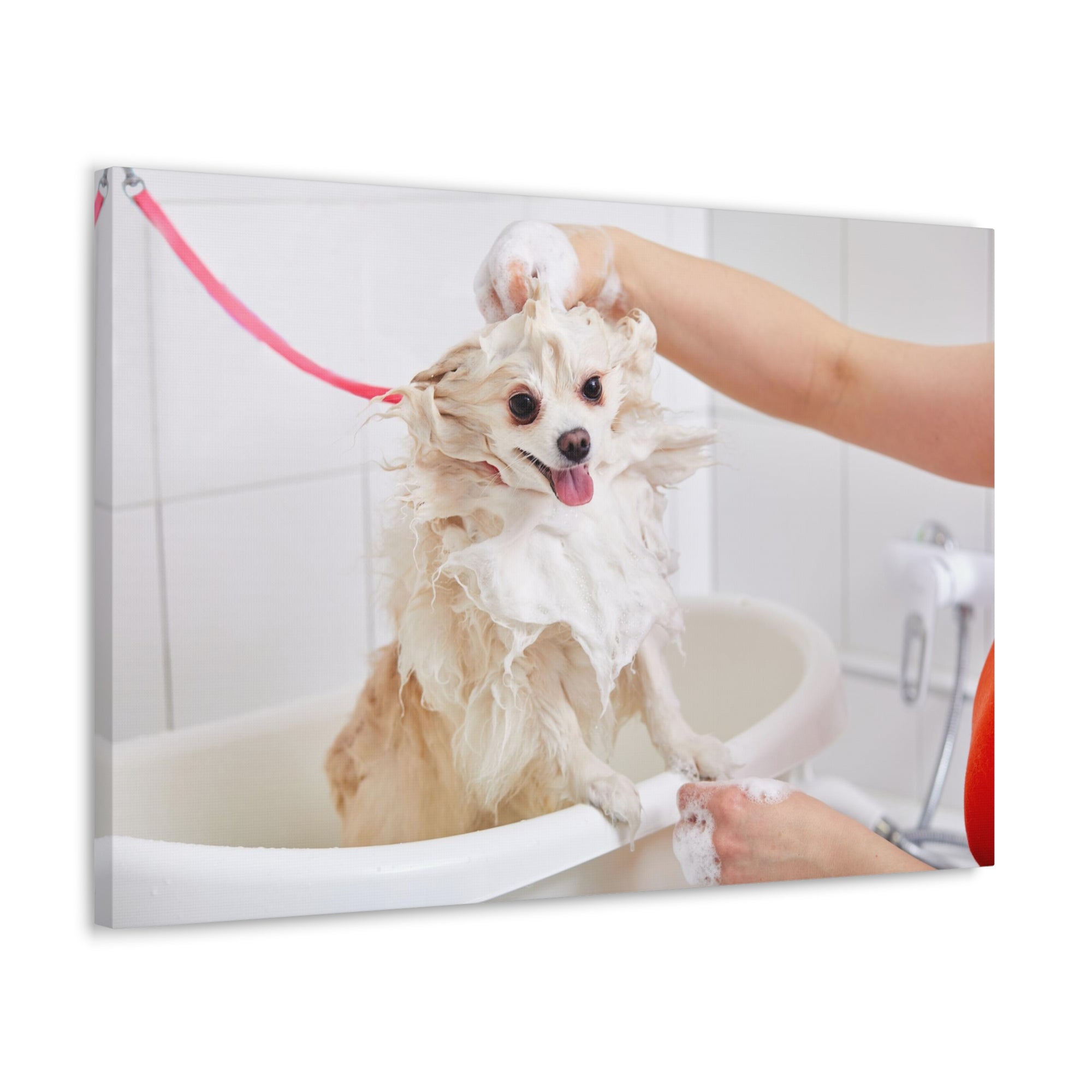 Funny Chihuahua Bathee Canvas Wall Art for Home Decor Ready-to-Hang-Express Your Love Gifts