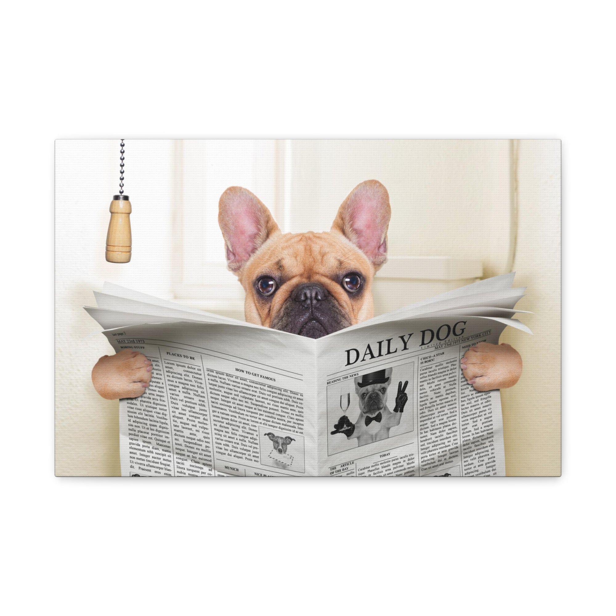 Fawn French Bulldog Reading Newspaper On Toilet Funny Canvas Wall Art for Home Decor Ready-to-Hand-Express Your Love Gifts