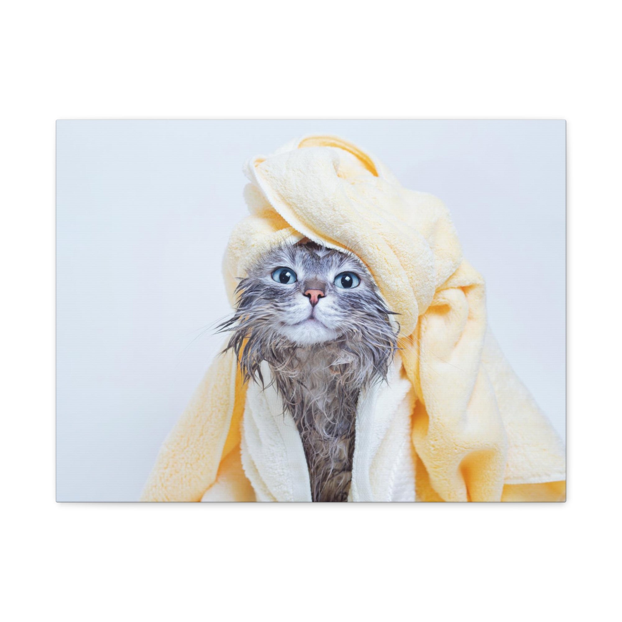 Funny Tabby Cat Bathee Canvas Wall Art for Home Decor Ready-to-Hang-Express Your Love Gifts