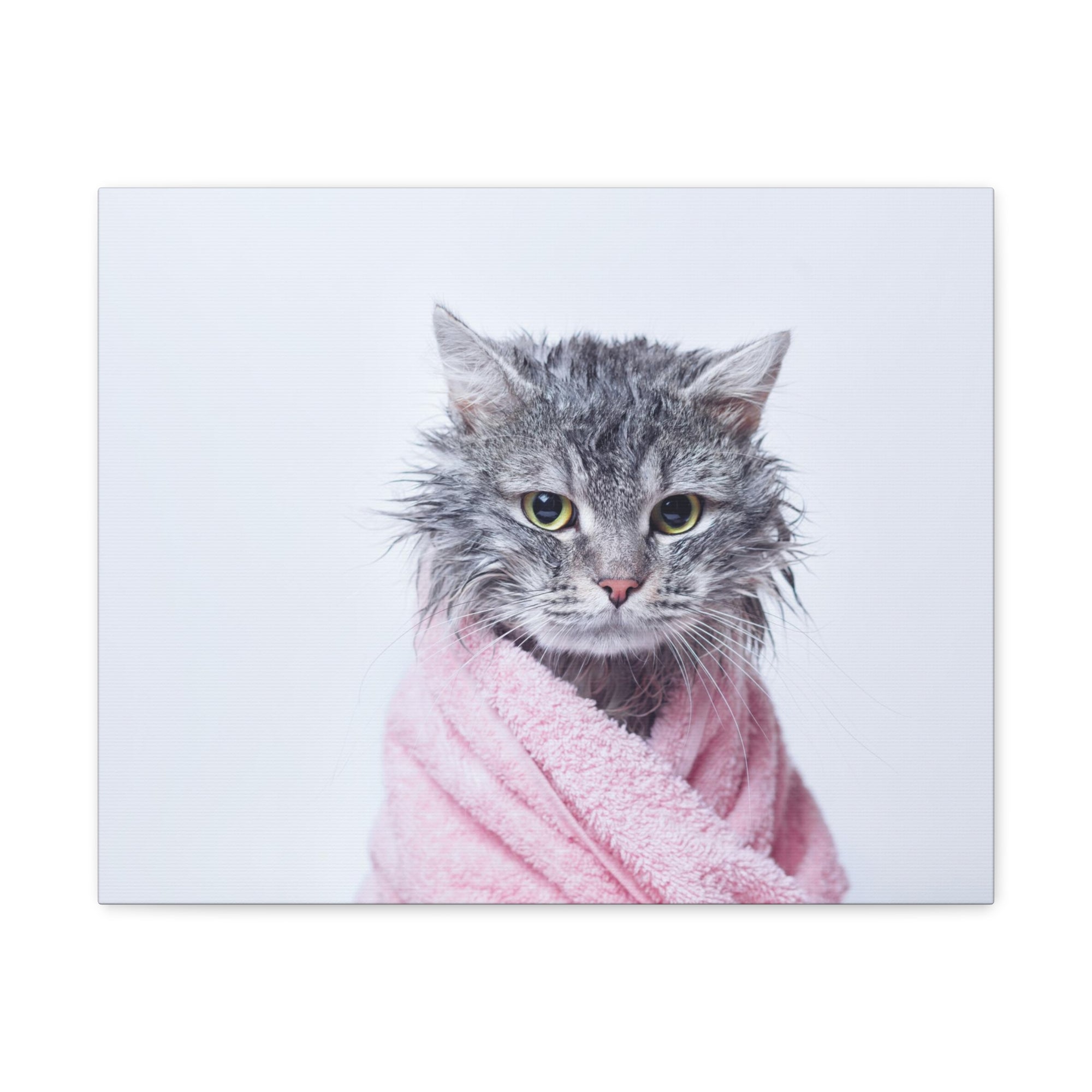 Funny Tabby Cat Bathee Canvas Wall Art for Home Decor Ready-to-Hang-Express Your Love Gifts