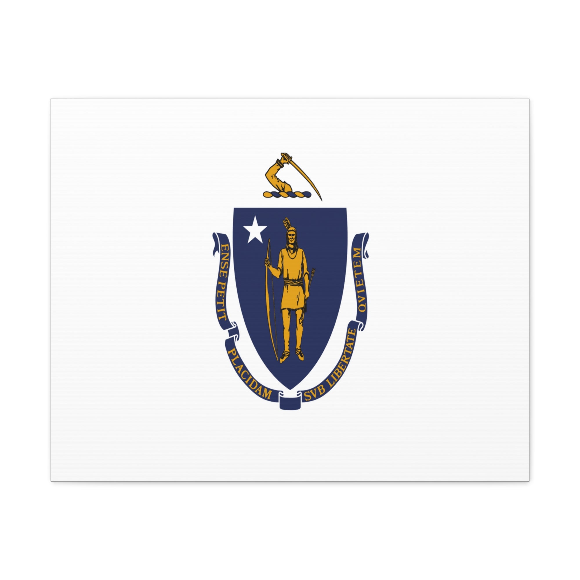 Massachusetts Stage Flag Canvas Vibrant Wall Art Unframed Home Decor-Express Your Love Gifts