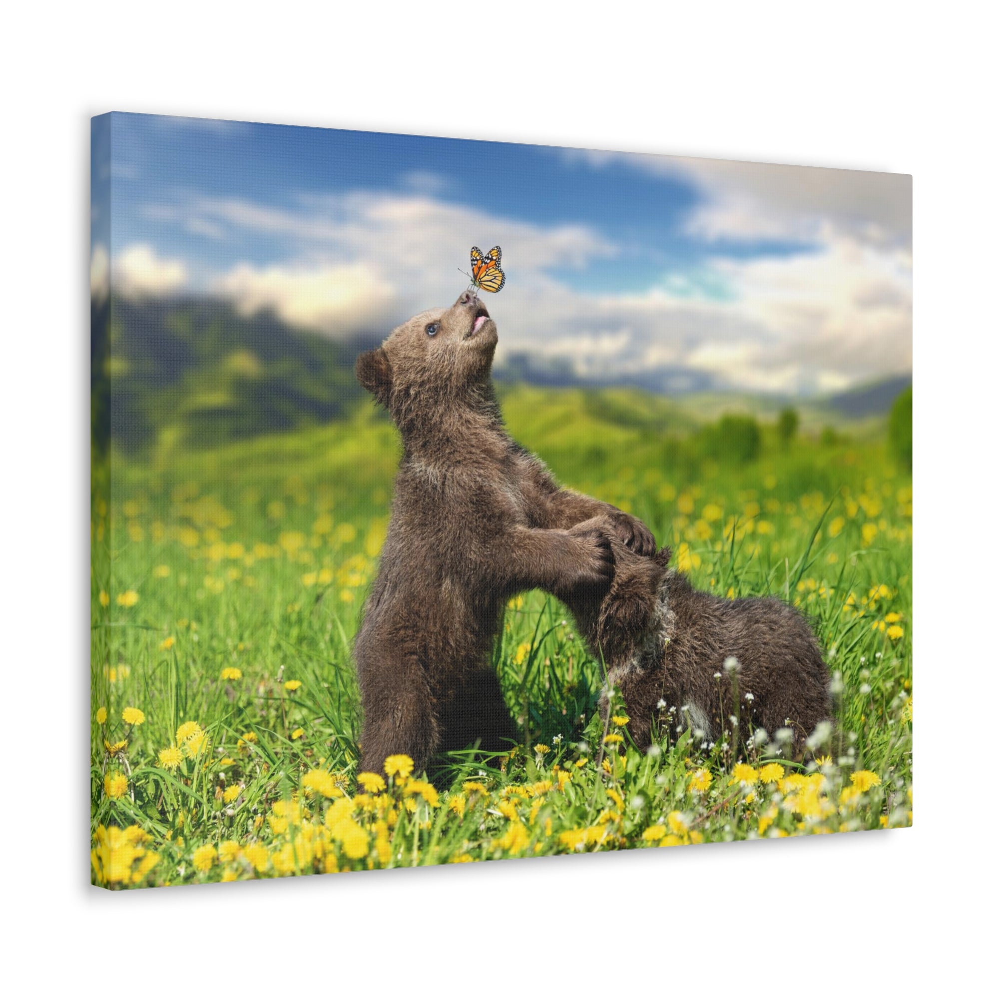 Black Bears in The Spring Nature Wilderness Photography Canvas Wall Art for Home Decor Ready-to-Hang-Express Your Love Gifts