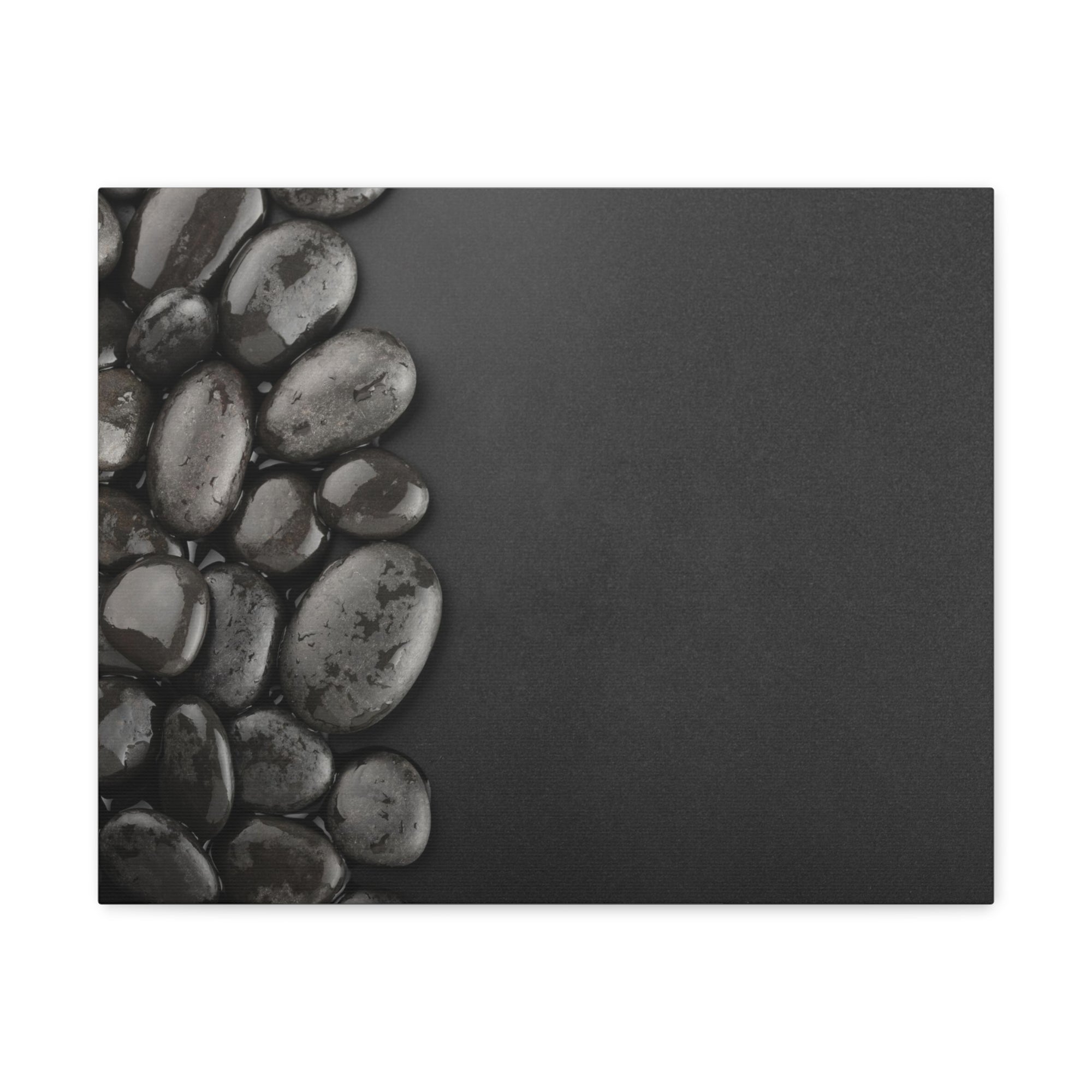 Black Background with Rocks Forest Floral Nature Photography Canvas Wall Art for Home Decor Ready-to-Hang-Express Your Love Gifts