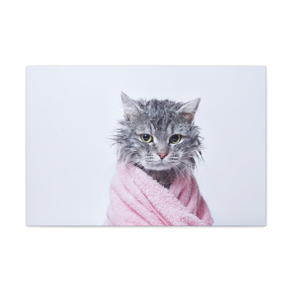 Funny Tabby Cat Bathee Canvas Wall Art for Home Decor Ready-to-Hang-Express Your Love Gifts