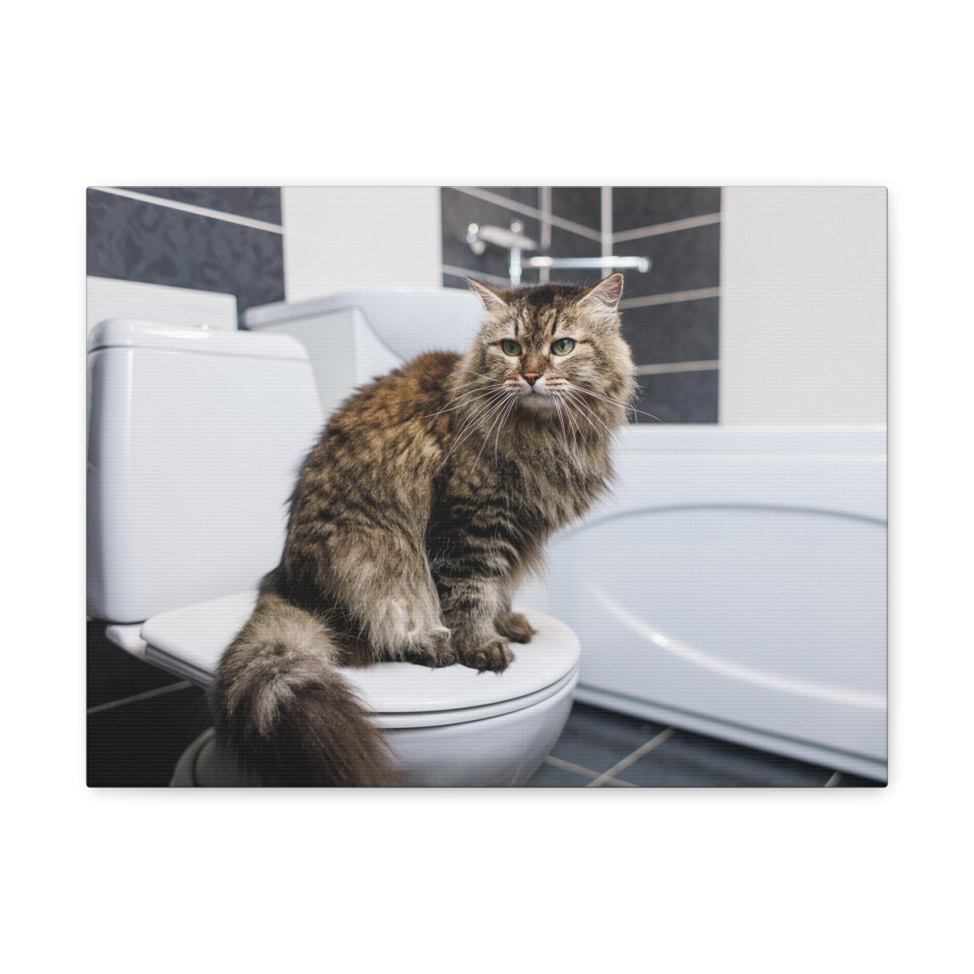 Cute Cat Sitting On Toilet Funny Canvas Wall Art for Home Decor Ready-to-Hand-Express Your Love Gifts