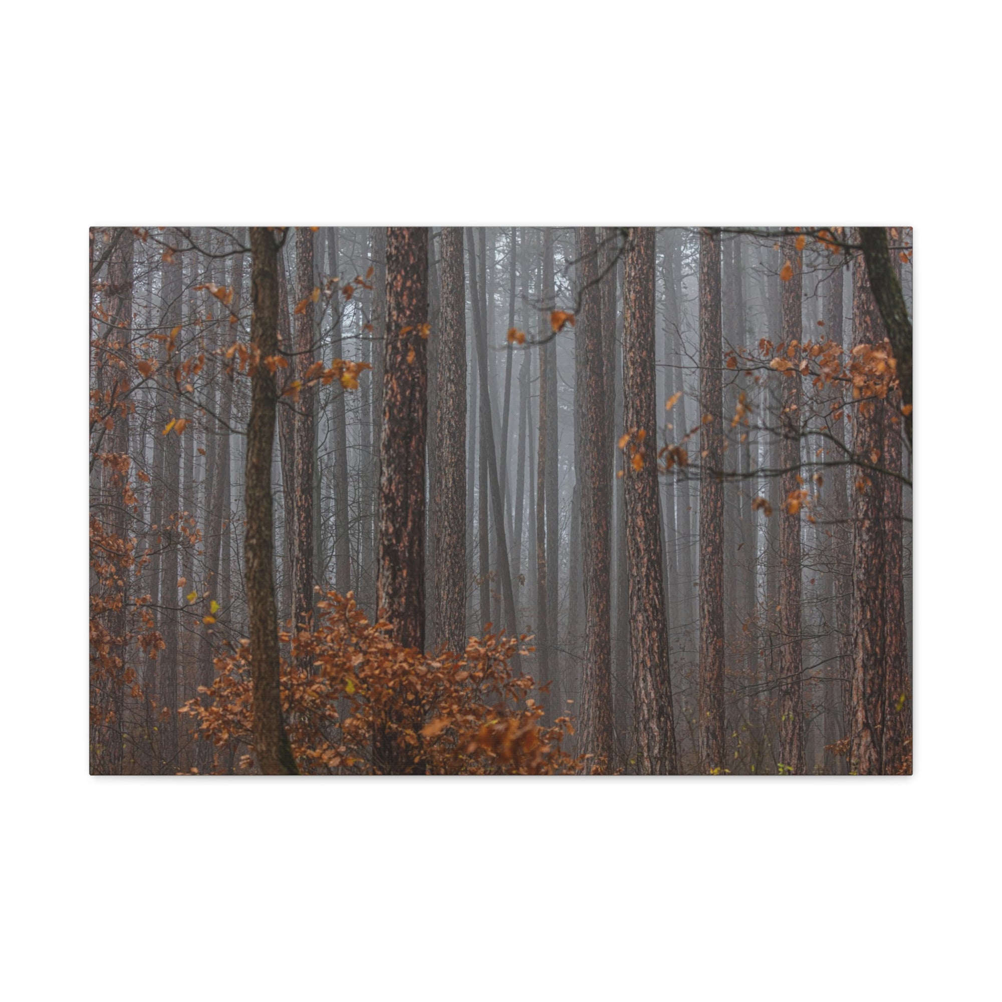 Autumn Forest Misty Orange Leave Nature Wilderness Photography Canvas Wall Art for Home Decor Ready-to-Hang-Express Your Love Gifts