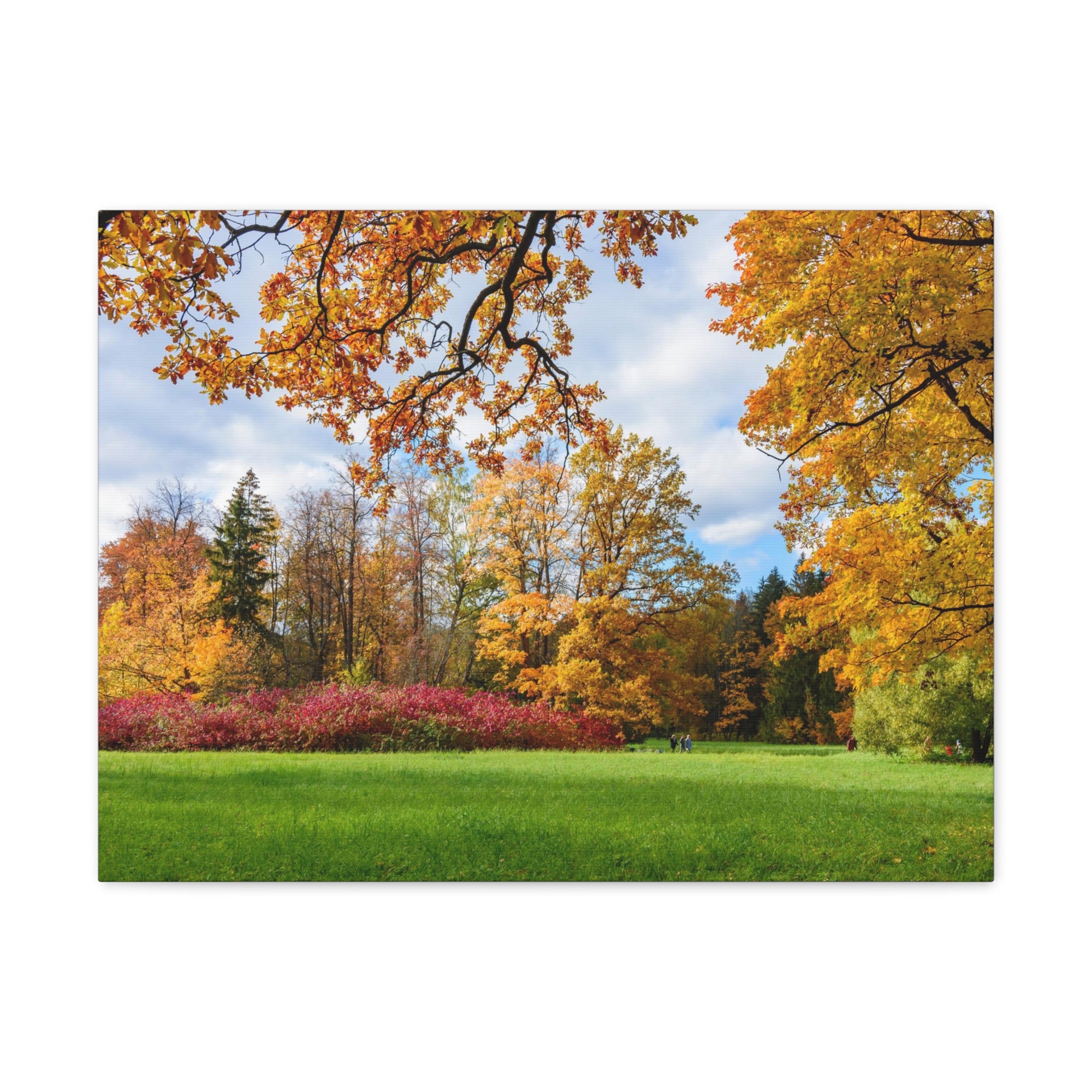 Autumn Park Tree Orange Nature Wilderness Photography Canvas Wall Art for Home Decor Ready-to-Hang-Express Your Love Gifts