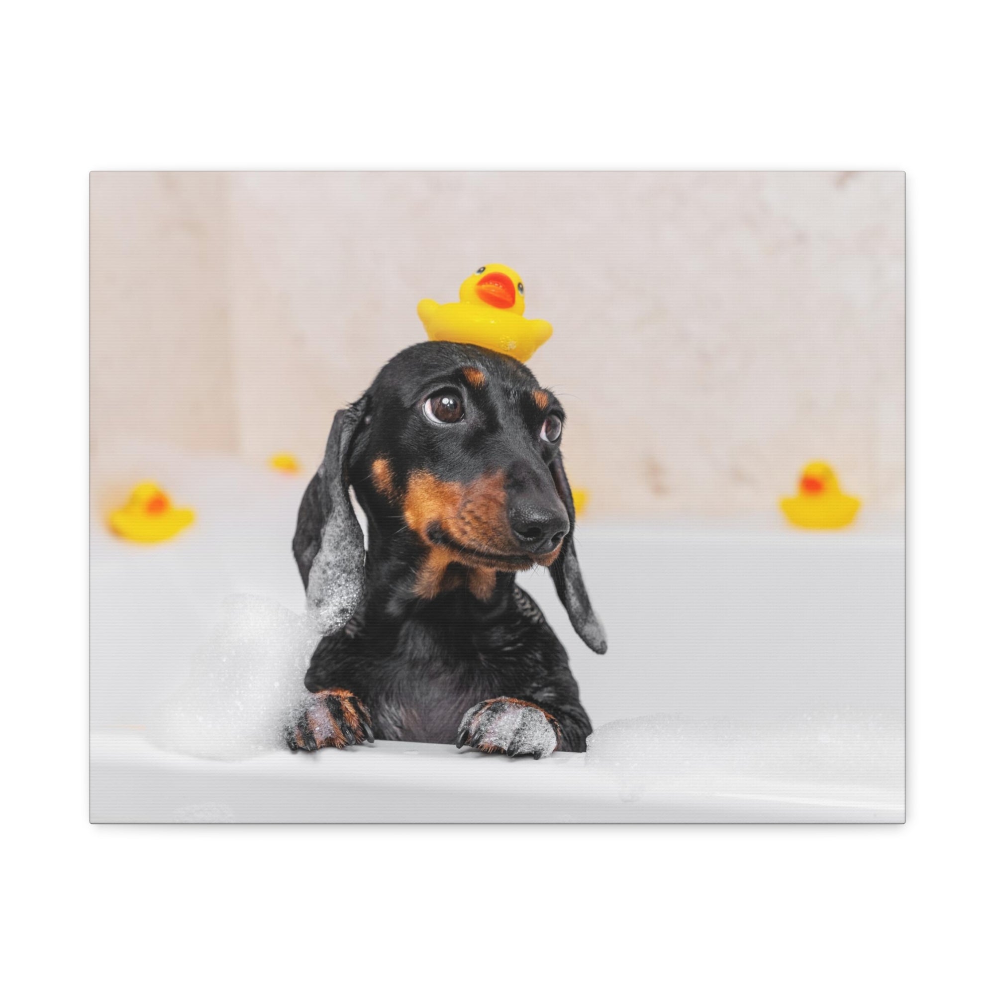 Dachshund In Bathtub With Yellow Duck On Toilet Funny Canvas Wall Art for Home Decor Ready-to-Hand-Express Your Love Gifts