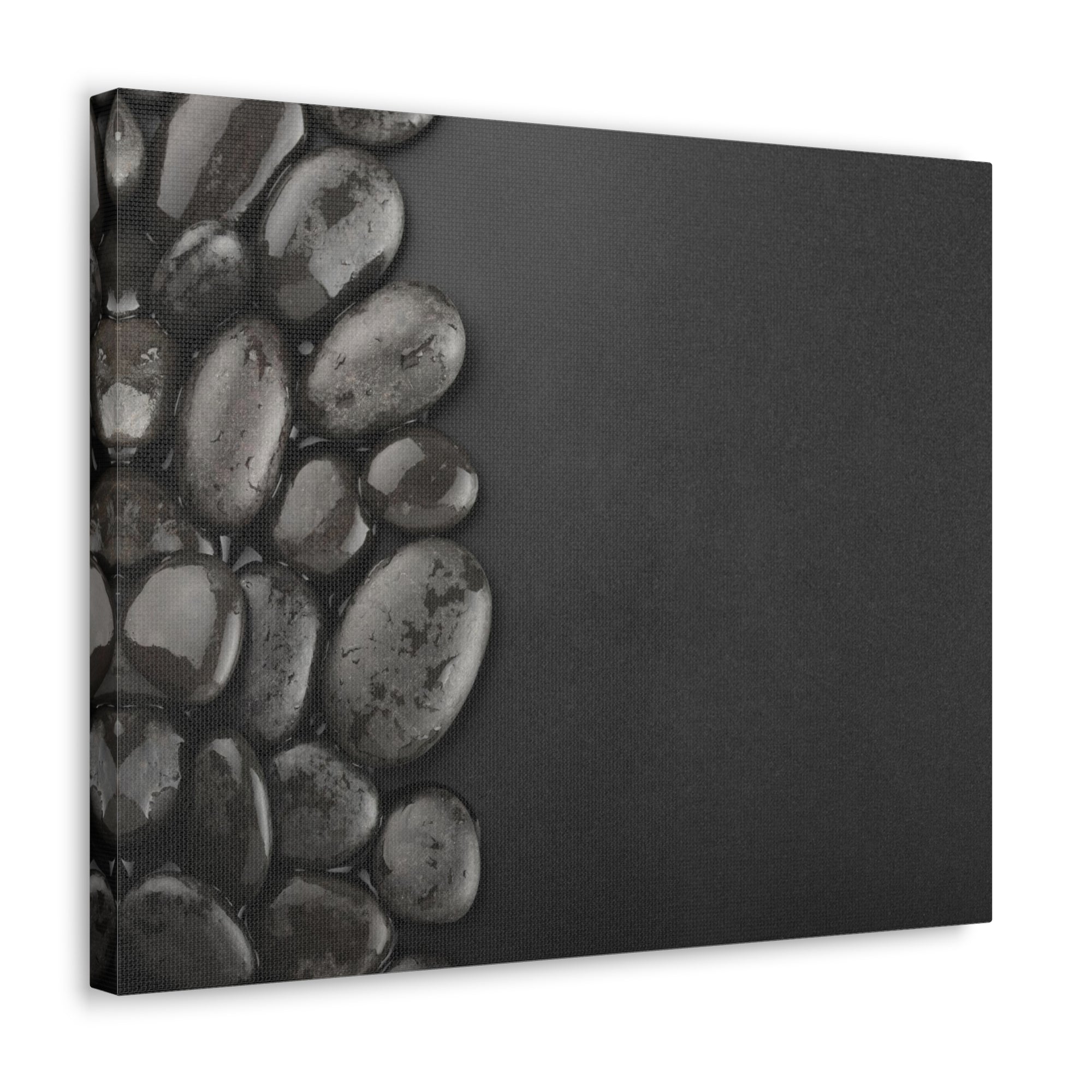 Black Background with Rocks Forest Floral Nature Photography Canvas Wall Art for Home Decor Ready-to-Hang-Express Your Love Gifts