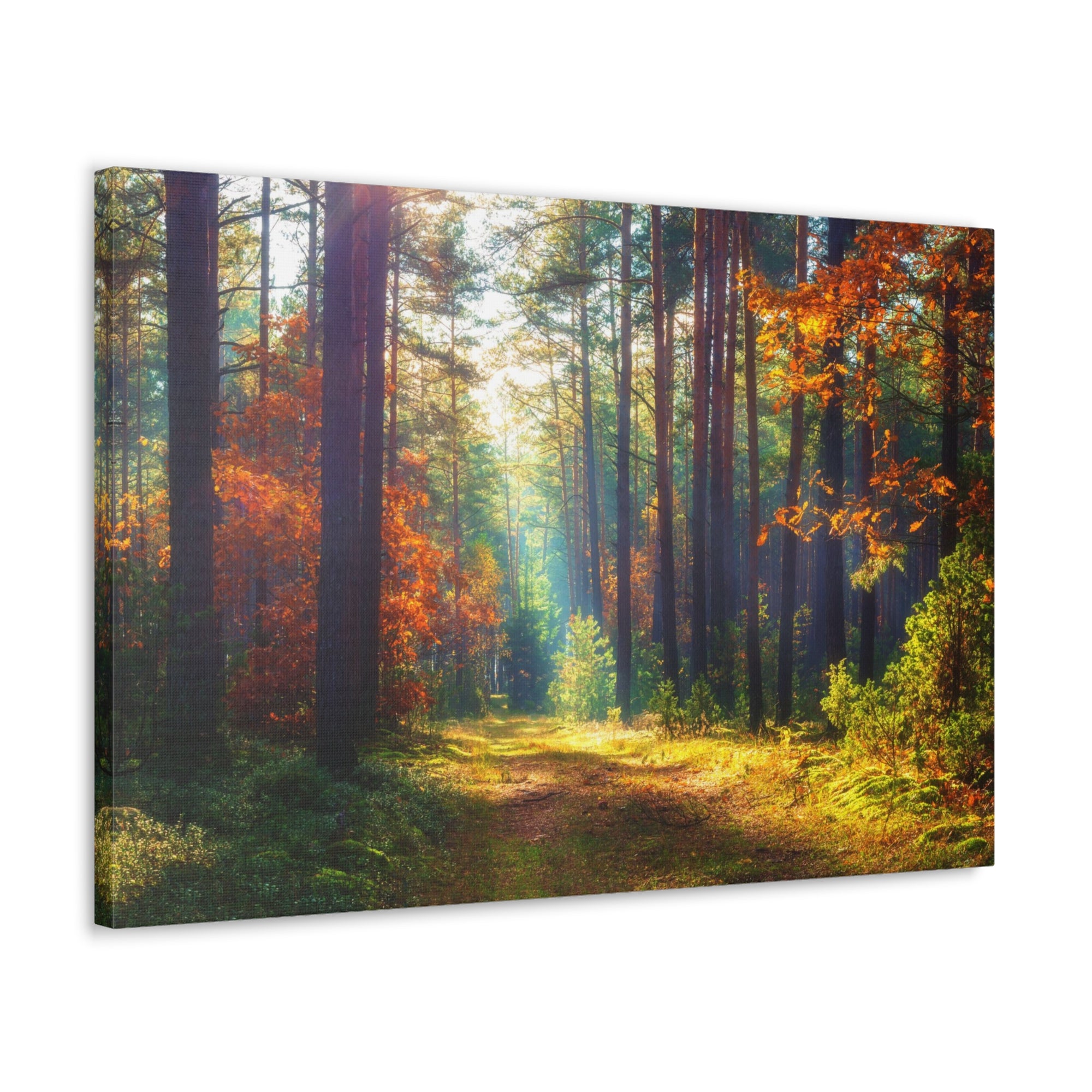 Autumn Fall Leaf Forest Nature Wilderness Photography Canvas Wall Art for Home Decor Ready-to-Hang-Express Your Love Gifts