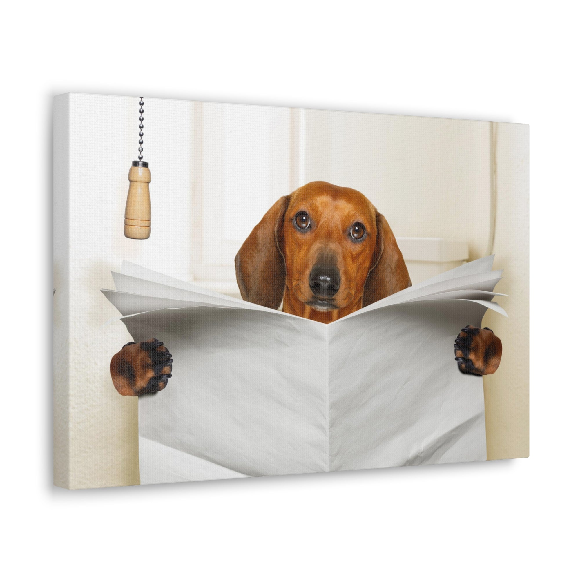 Funny Sausage Dachshund Reading Blank Paper On Toilet Funny Canvas Wall Art for Home Decor Ready-to-Hand-Express Your Love Gifts