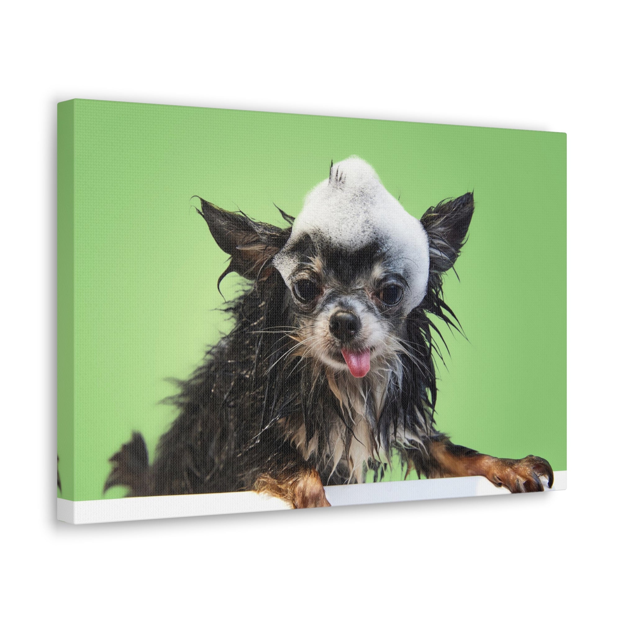 Funny Chihuahua Bath Canvas Wall Art for Home Decor Ready-to-Hang-Express Your Love Gifts