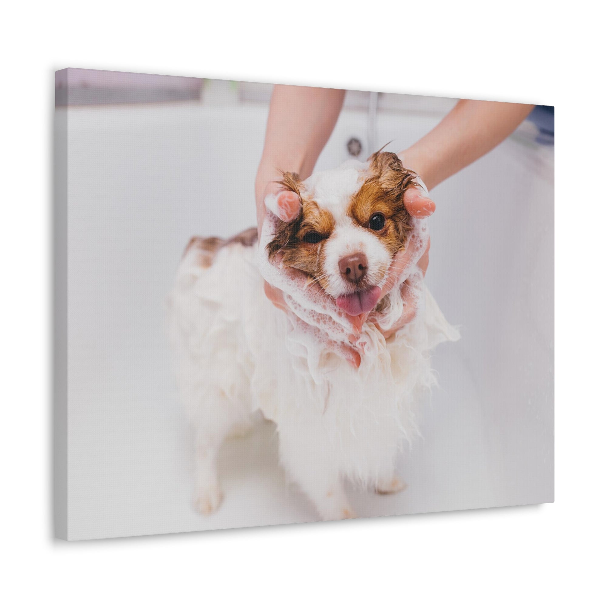 Funny Australian Shephard Bathee Canvas Wall Art for Home Decor Ready-to-Hang-Express Your Love Gifts