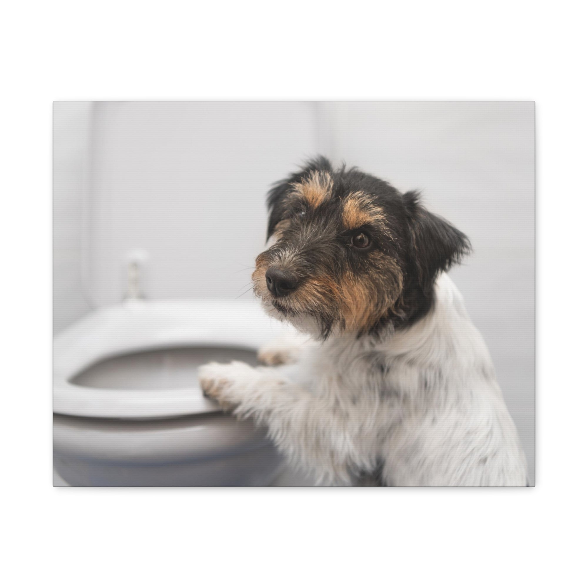 Jack Russell Terrier Standing On Toilet Funny Canvas Wall Art for Home Decor Ready-to-Hand-Express Your Love Gifts