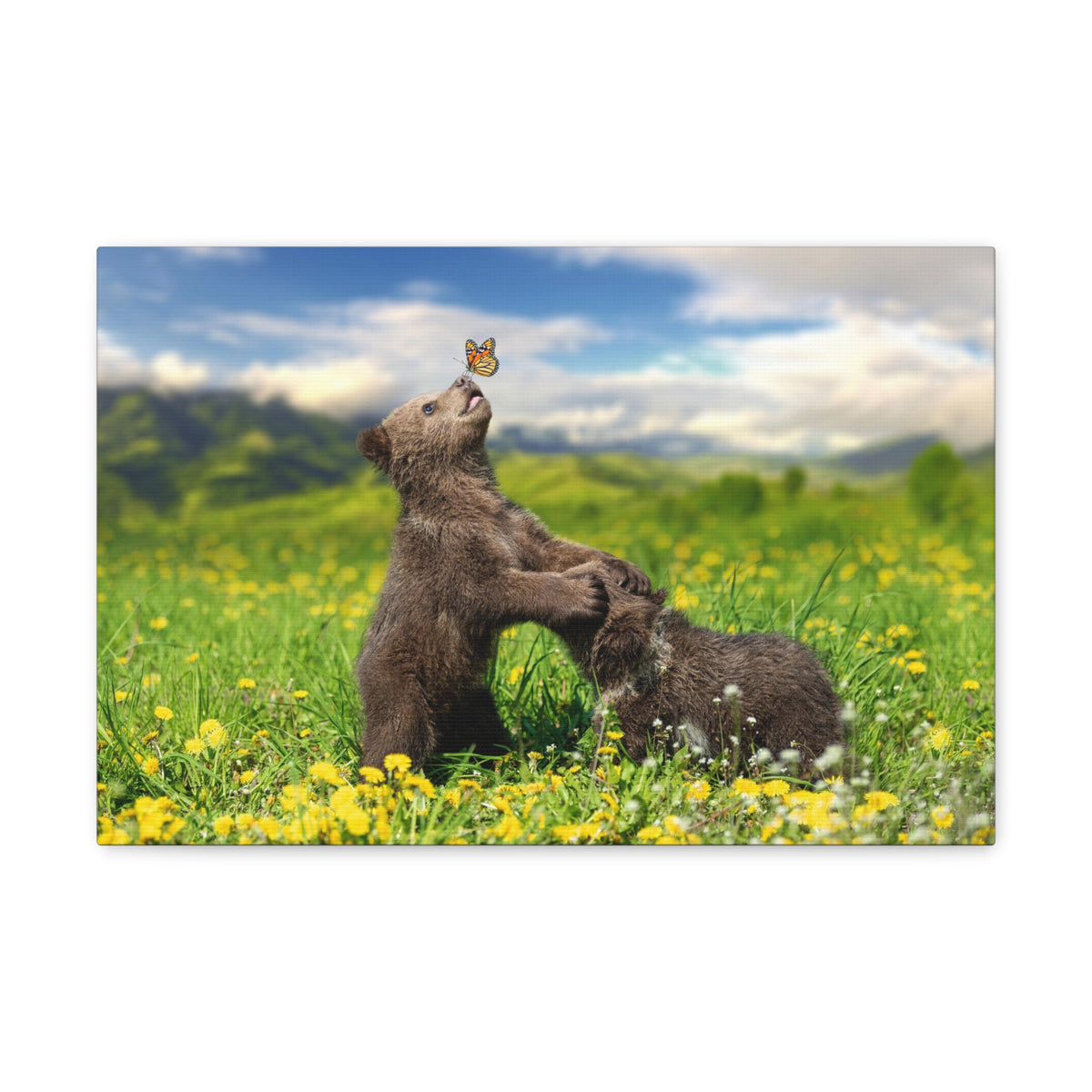 Black Bears in The Spring Nature Wilderness Photography Canvas Wall Art for Home Decor Ready-to-Hang-Express Your Love Gifts