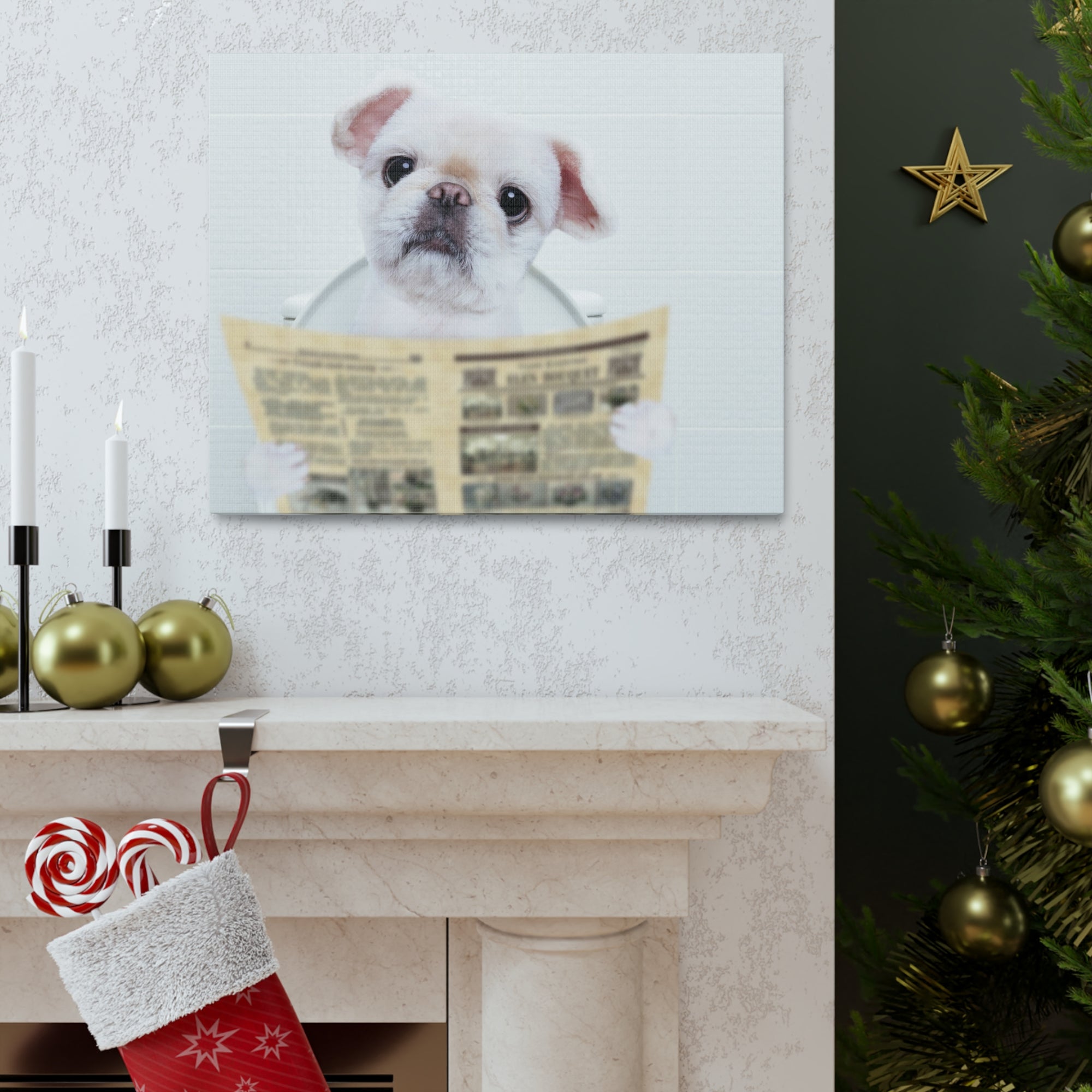 Cute Dog Reading Newspaper On Toilet Funny Canvas Wall Art for Home Decor Ready-to-Hand-Express Your Love Gifts